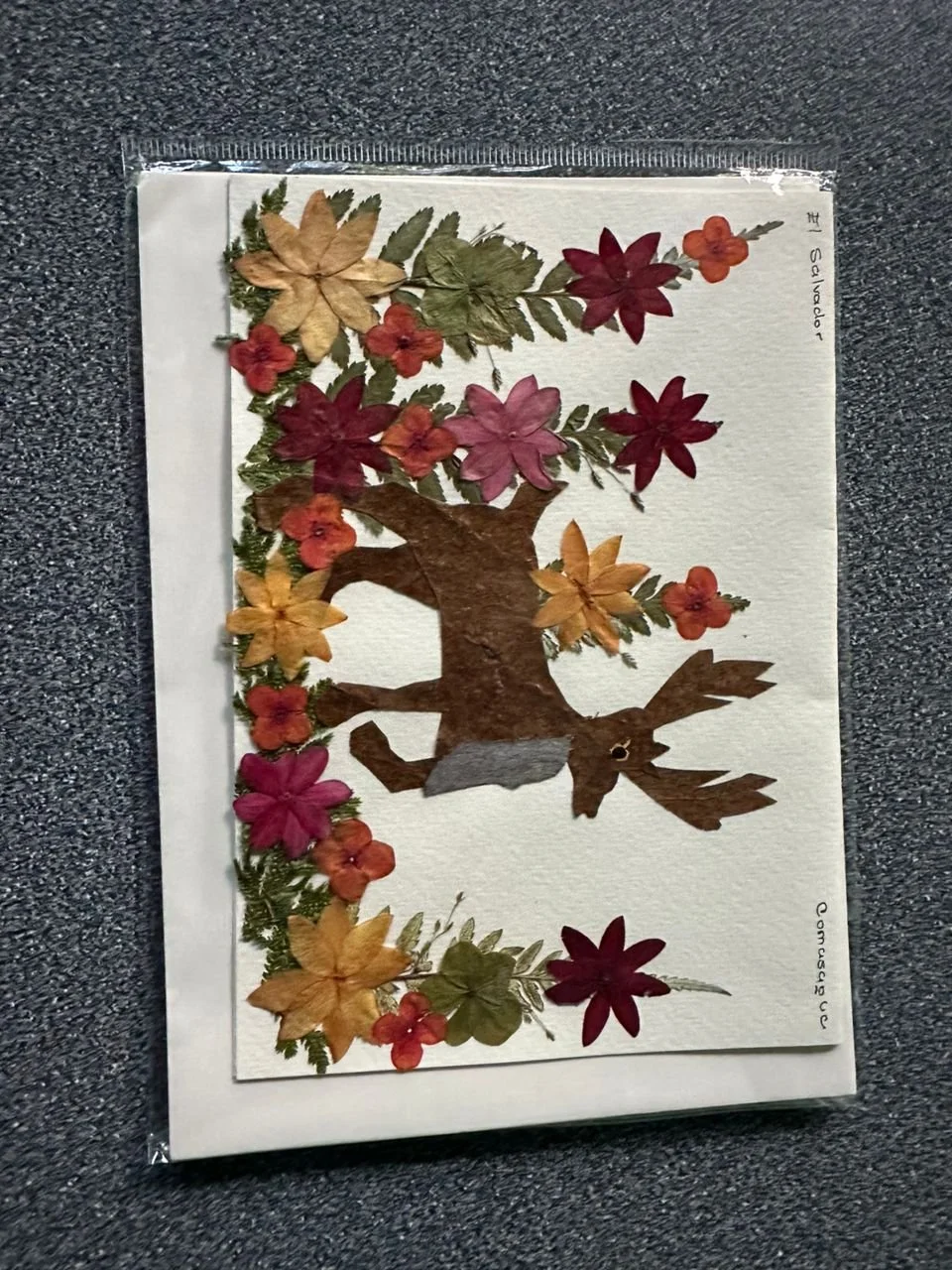 WhatsApp Image 2023-11-07 at 3.48.51 PM.jpeg