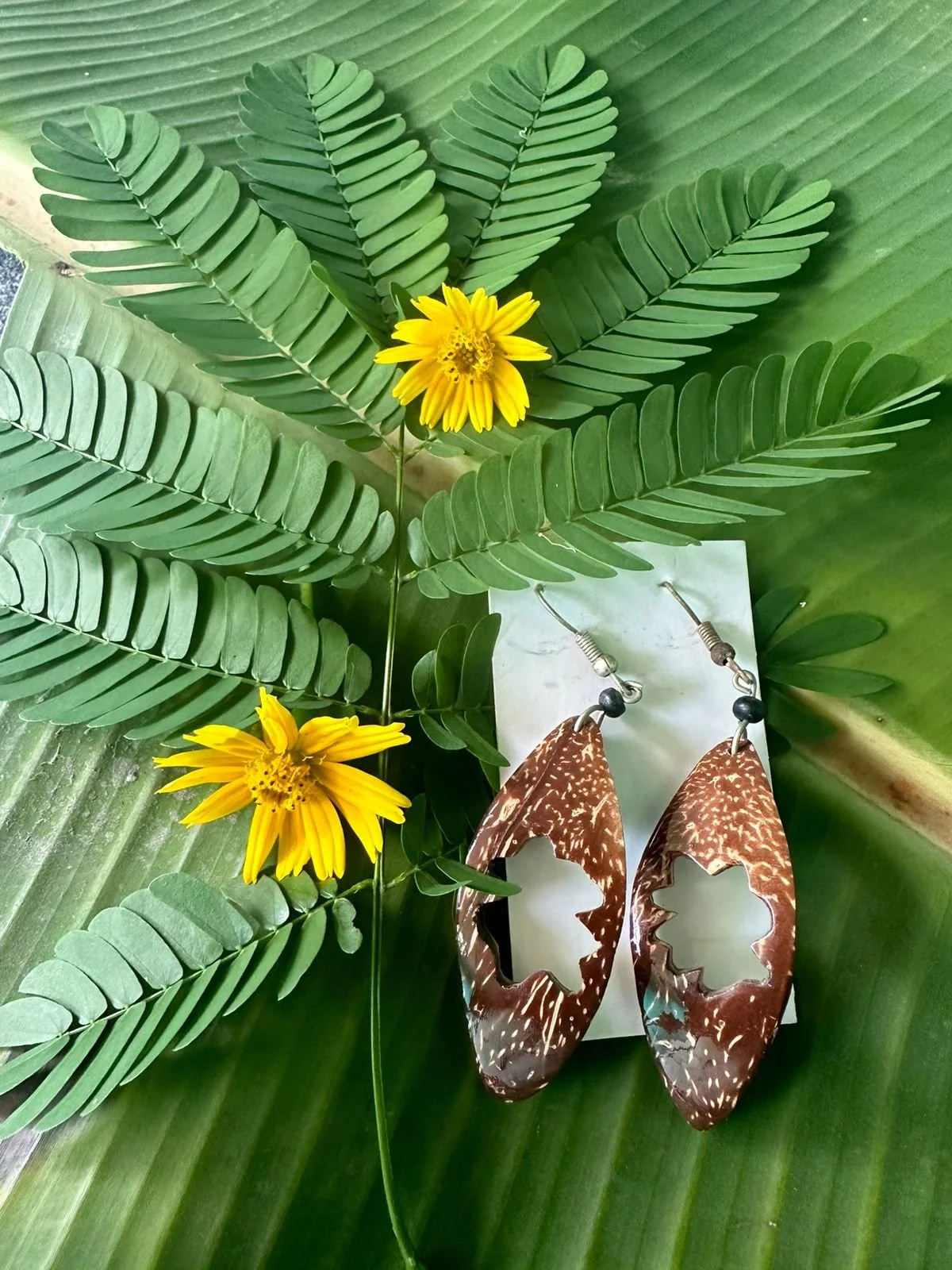 Coconut earrings