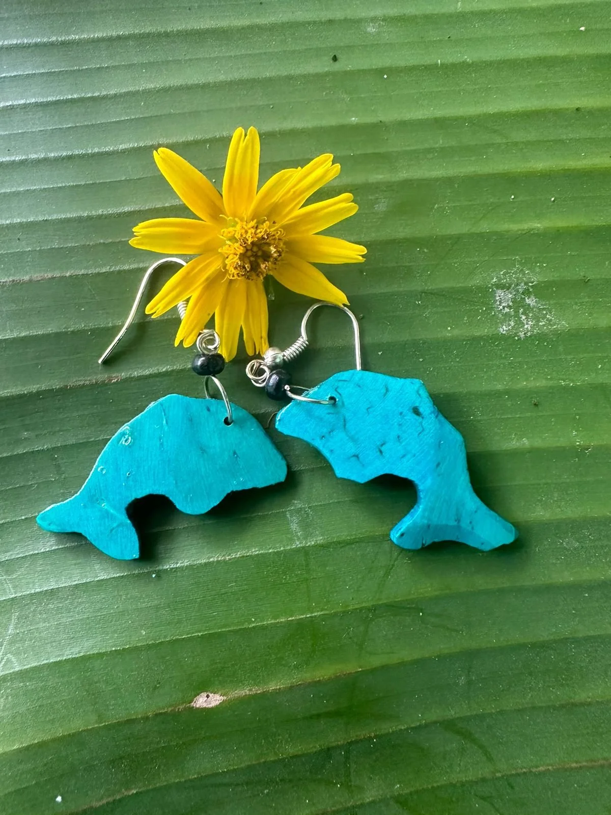 WhatsApp Image 2024-04-23 at 11.49.27 AM.jpeg