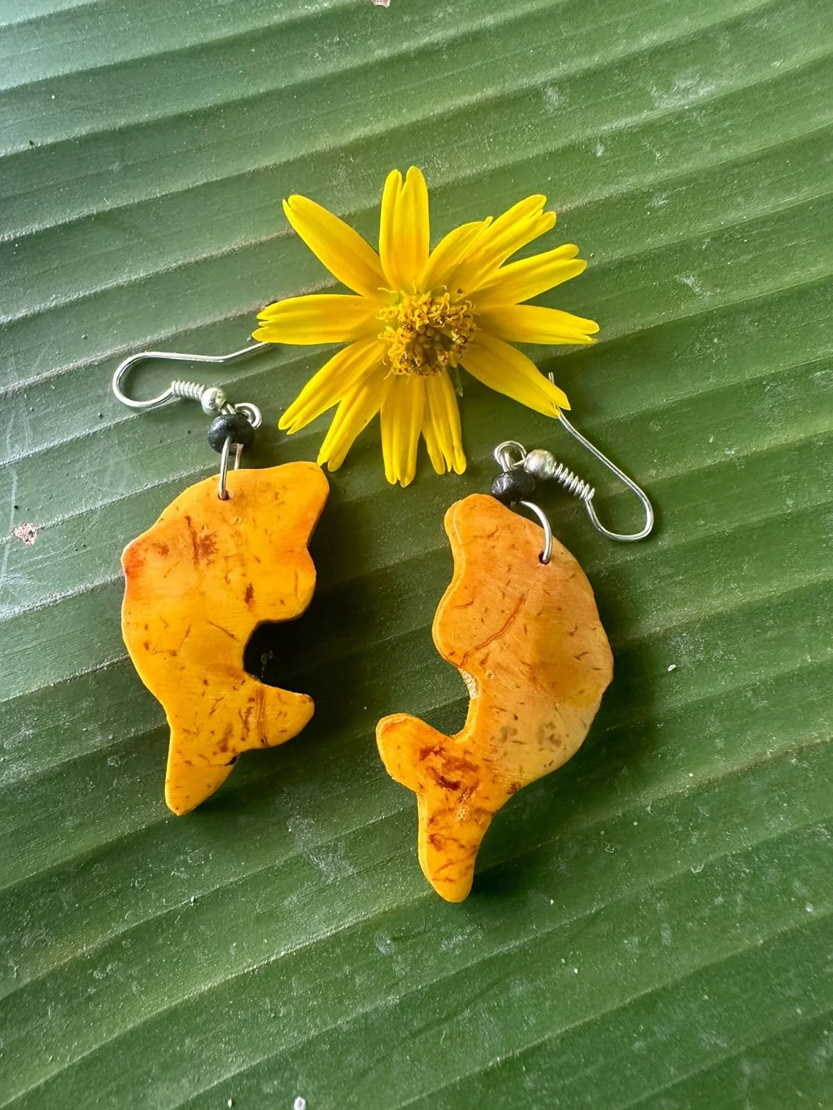 WhatsApp Image 2024-04-23 at 11.49.26 AM.jpeg