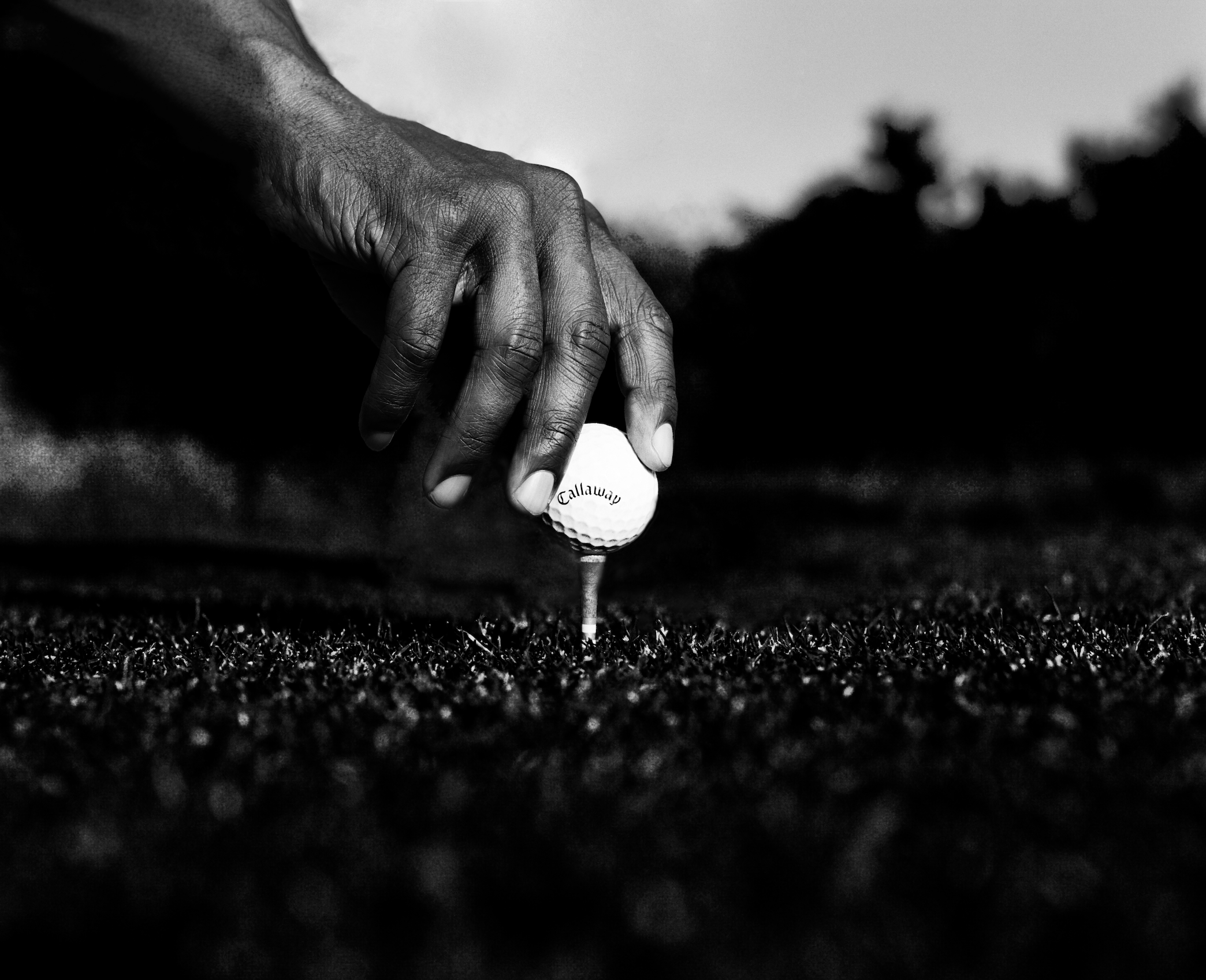 Close-up of a hand adjusting a Callaway golf ball on a tee on a golf course with a grassy surface and blurred background in black and white.
