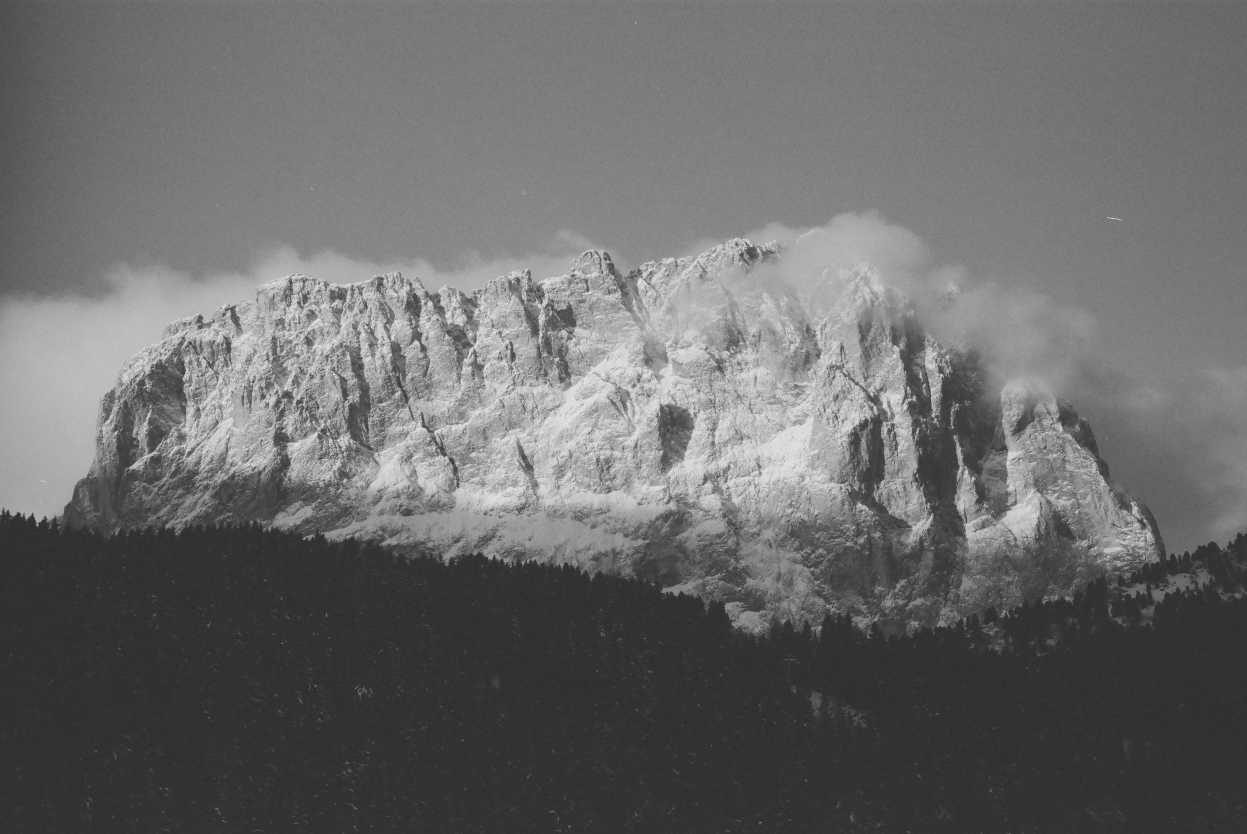 000836880021 (1).jpg