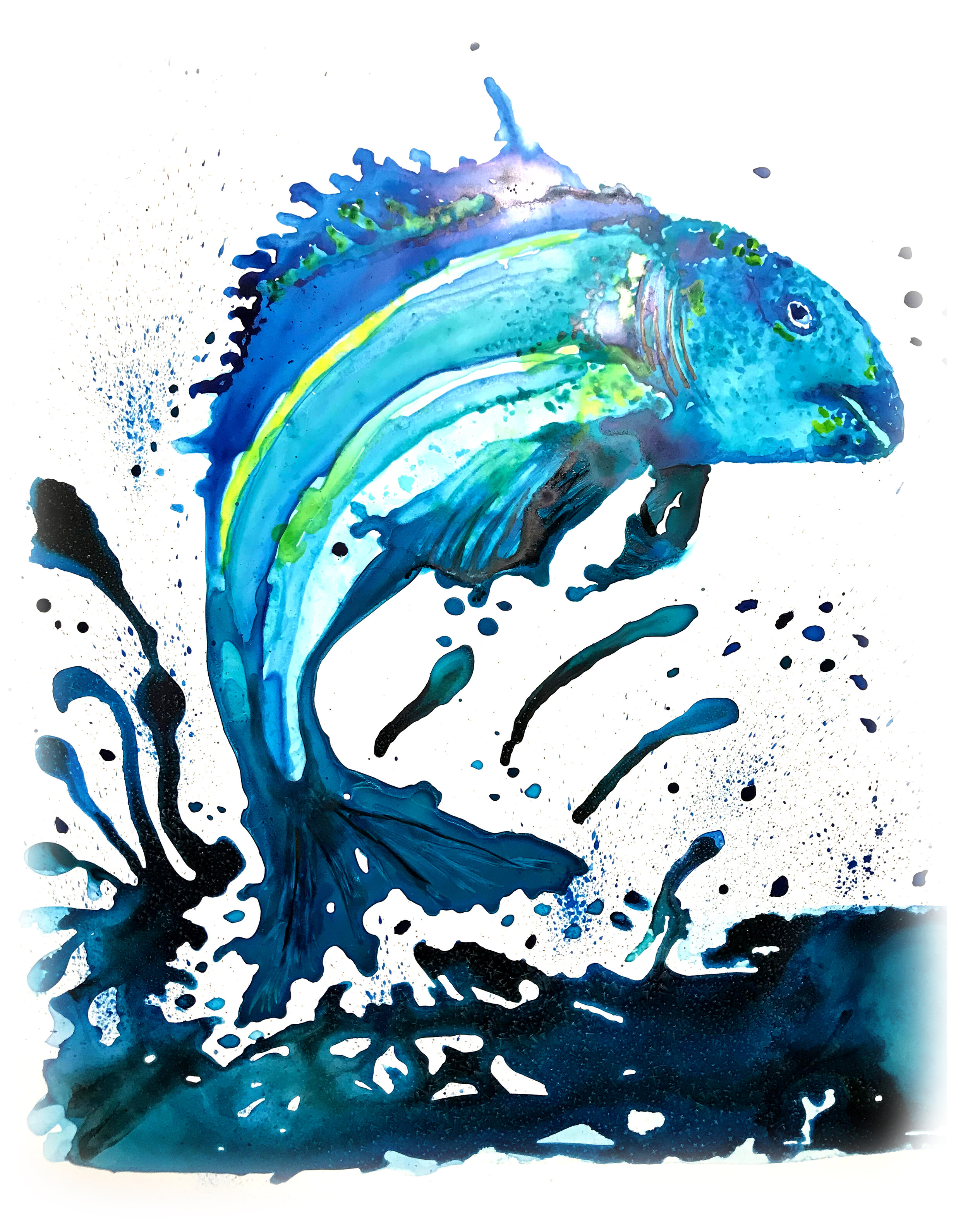 Fish.jpg