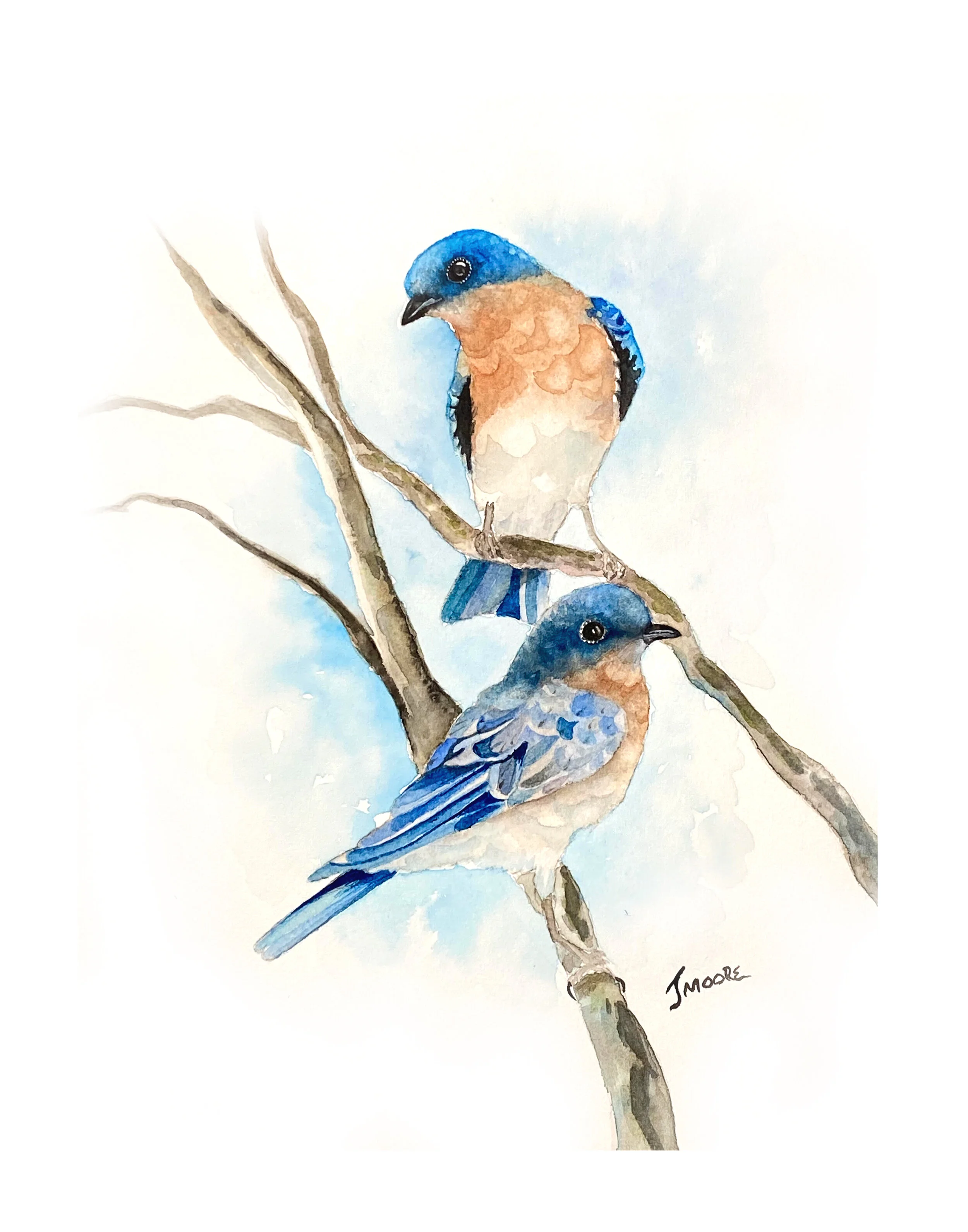 Bluebirds.jpg