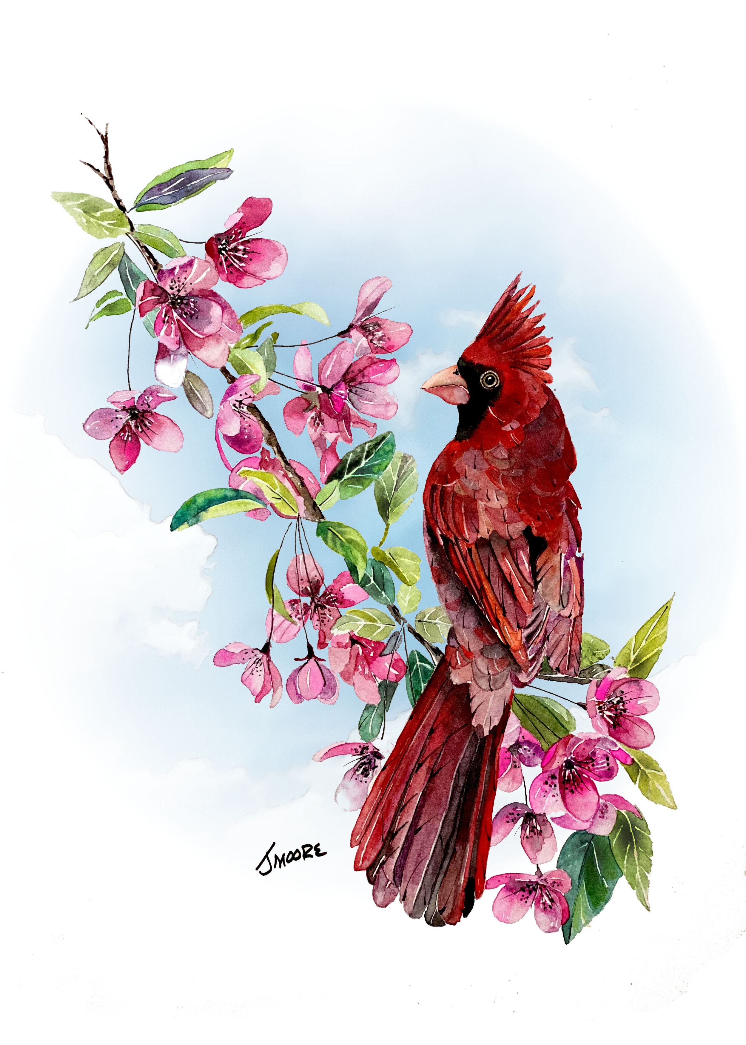 Cardinal On Cheyy Blossoms.jpg