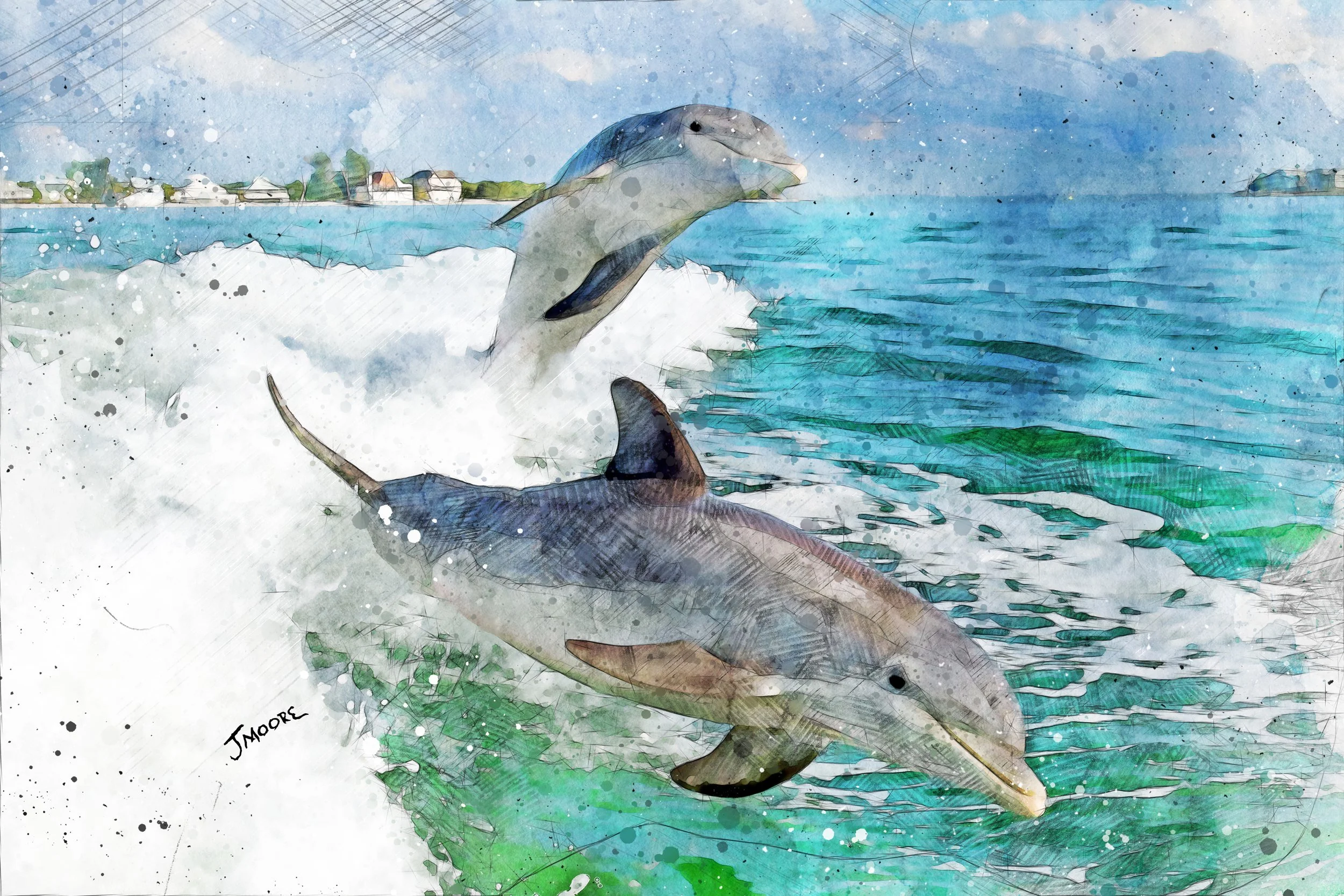 Dolphins.jpg