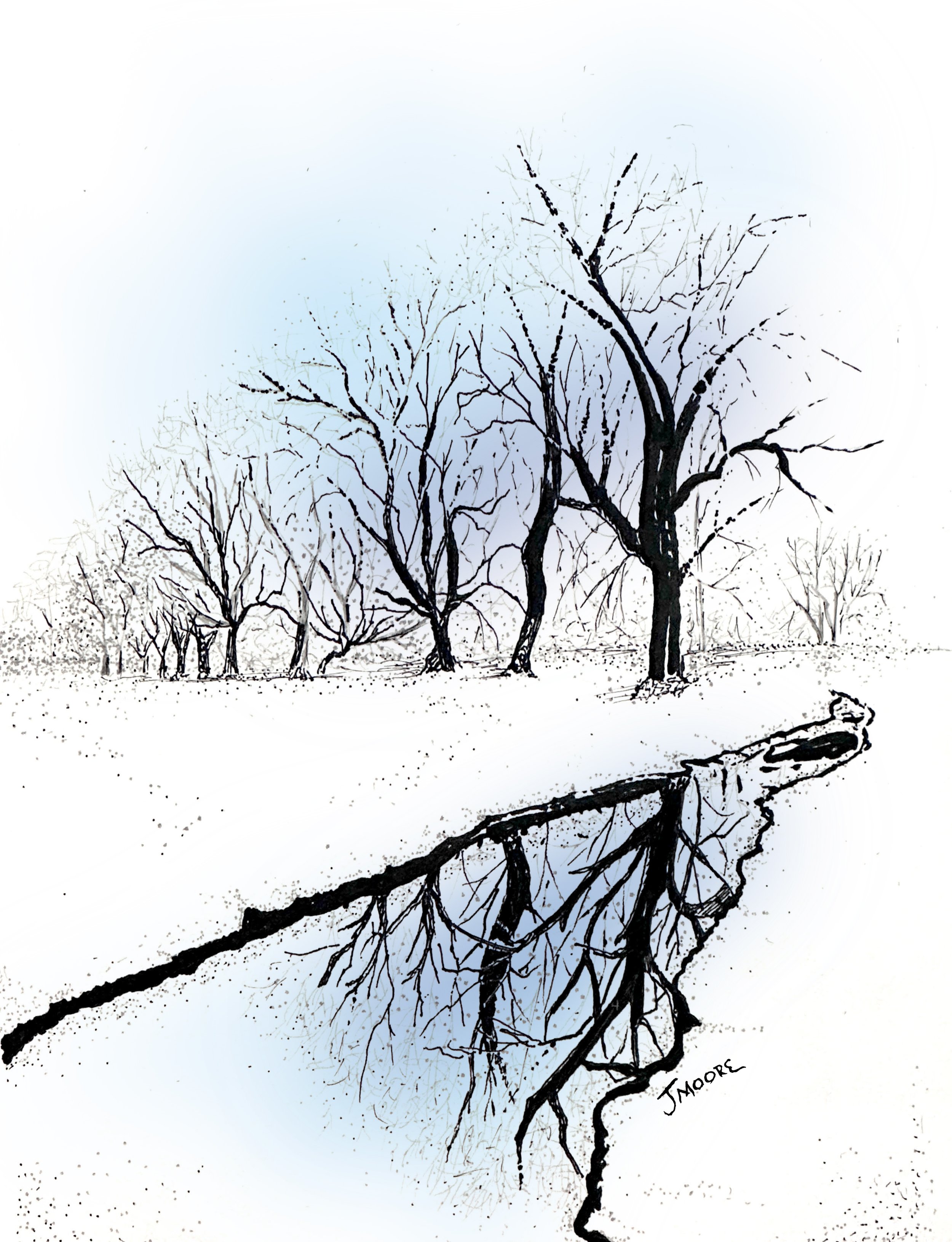 Winter Tree Reflection.jpg