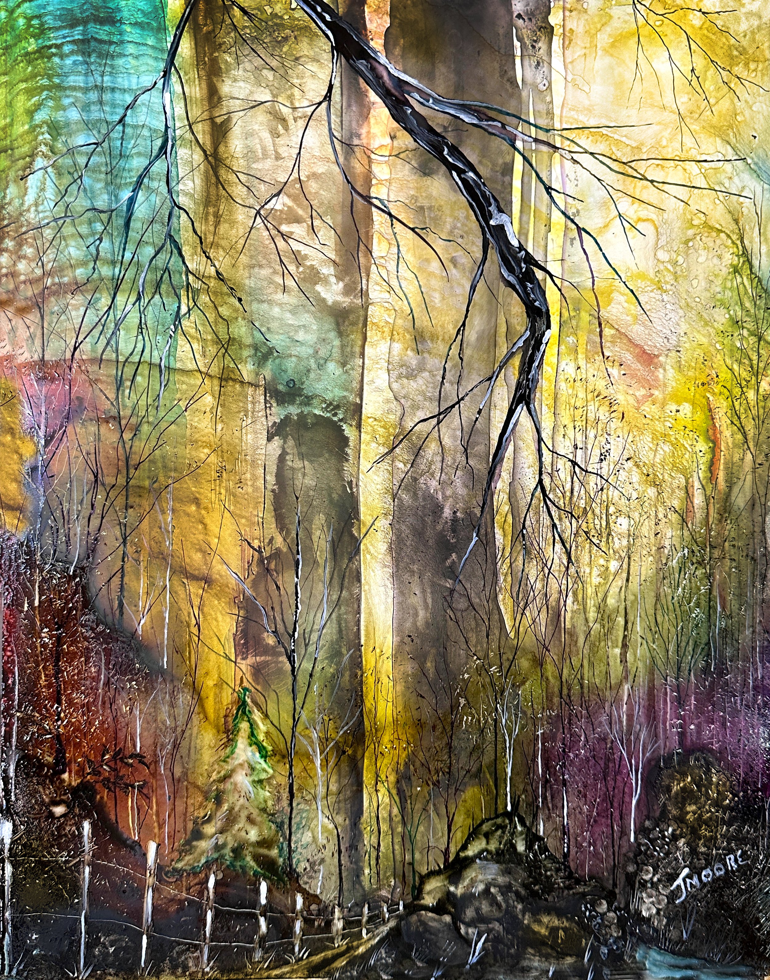 Deep in the Canopy.jpg