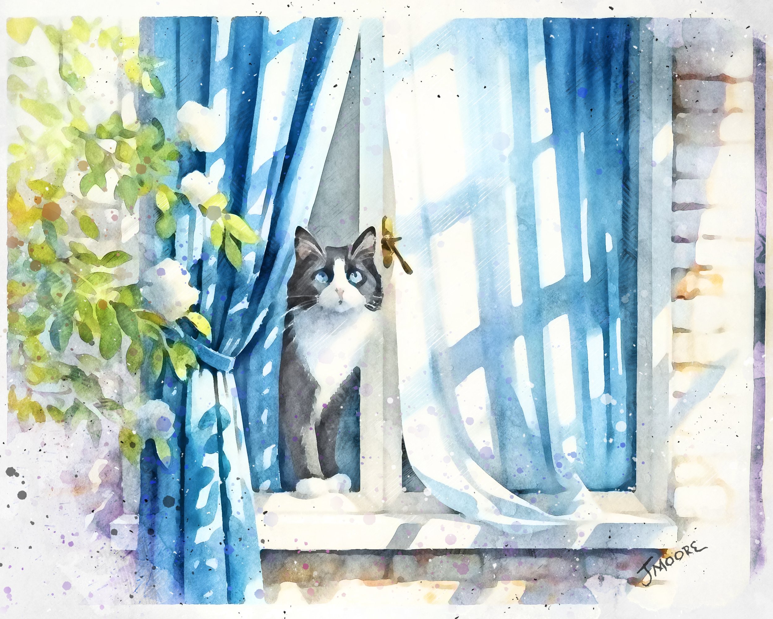 Cat in window.jpg