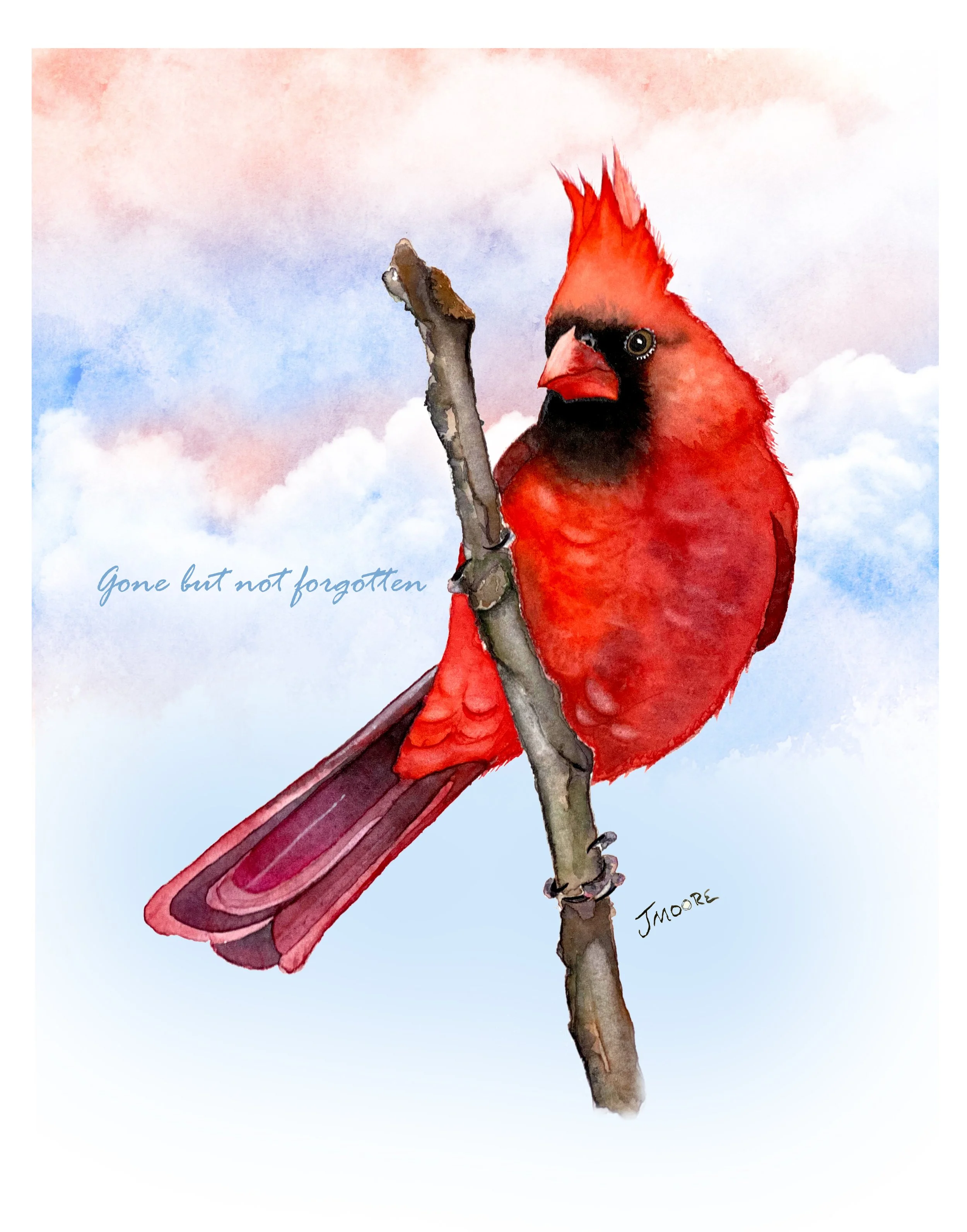 Cardinal w script.jpg