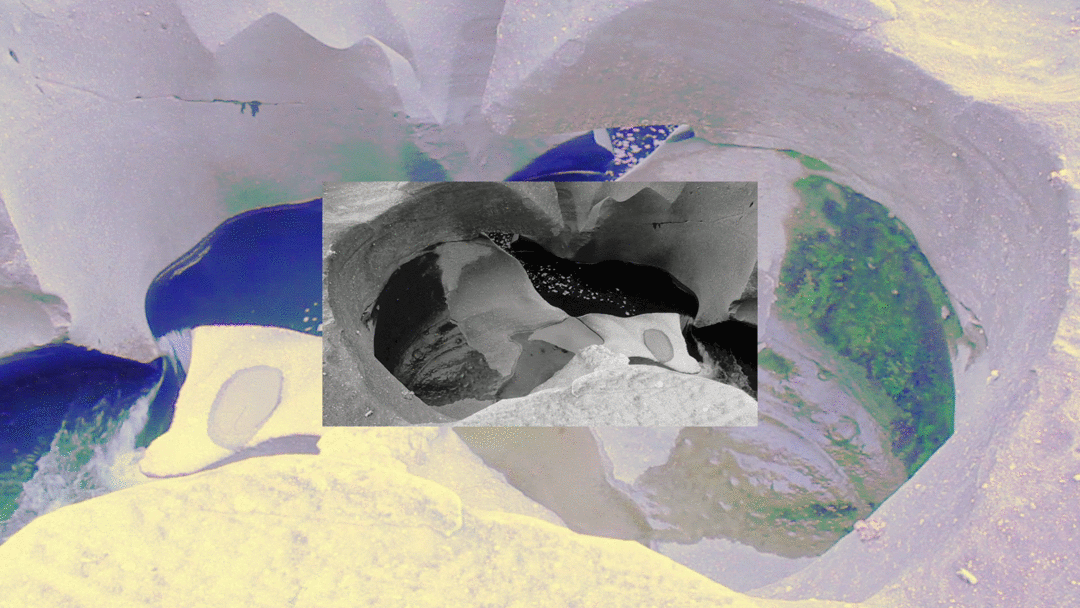 My Movie 8 gif 4.gif