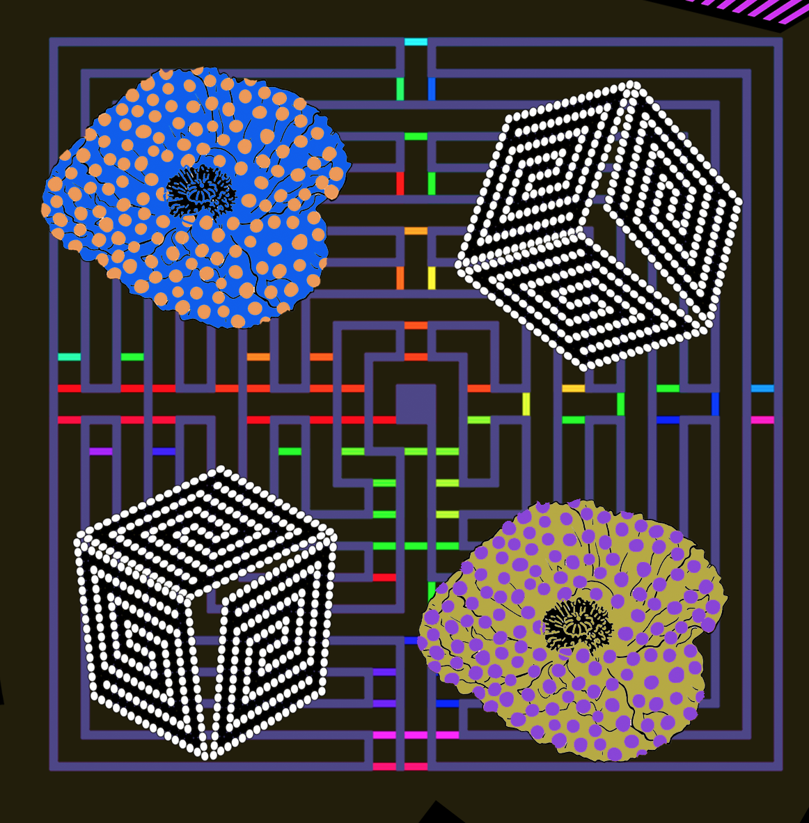 Pattern 2