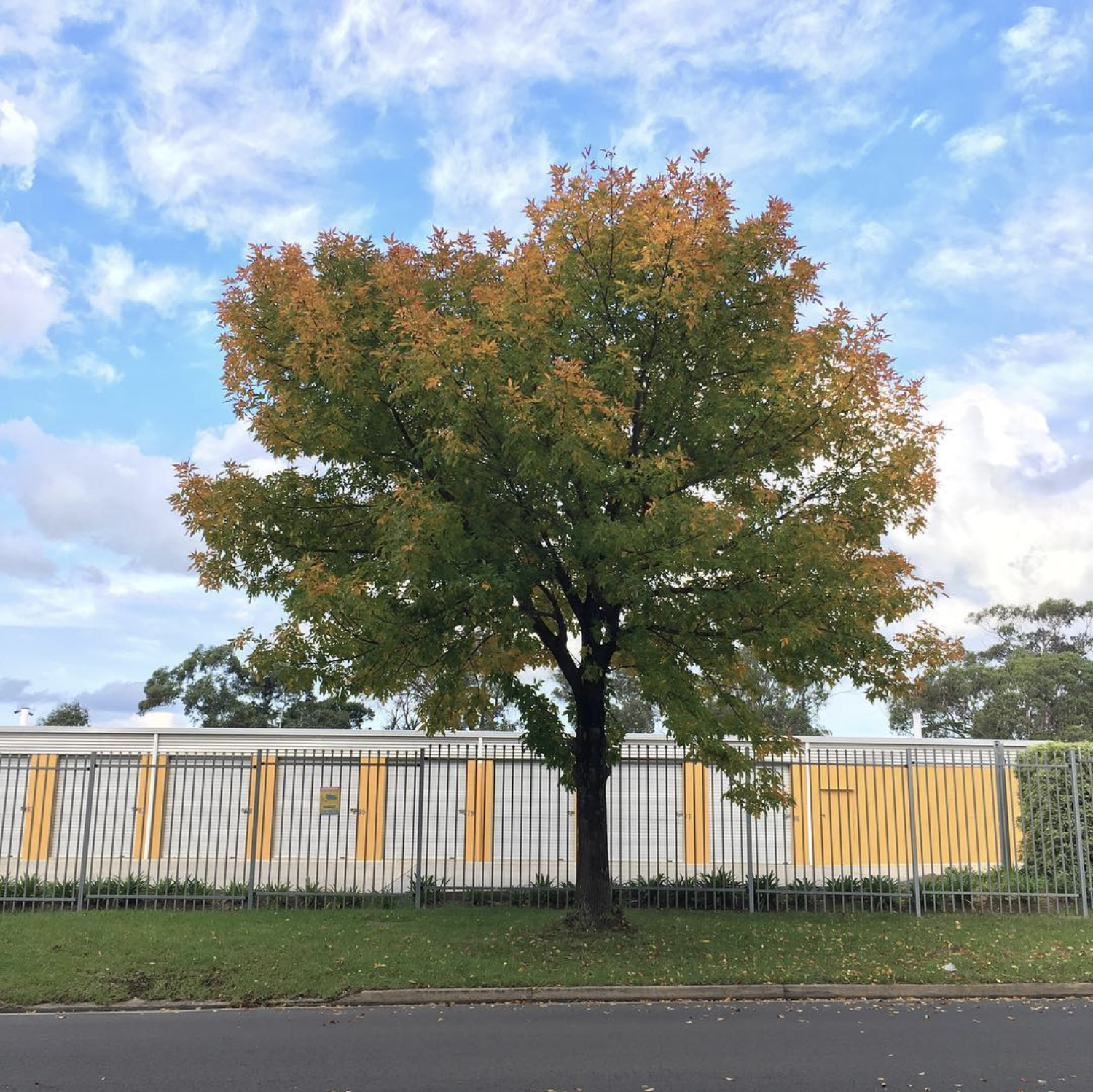 Tankar Self Storage Centre at 35 - A Local Business That's Still Going Strong