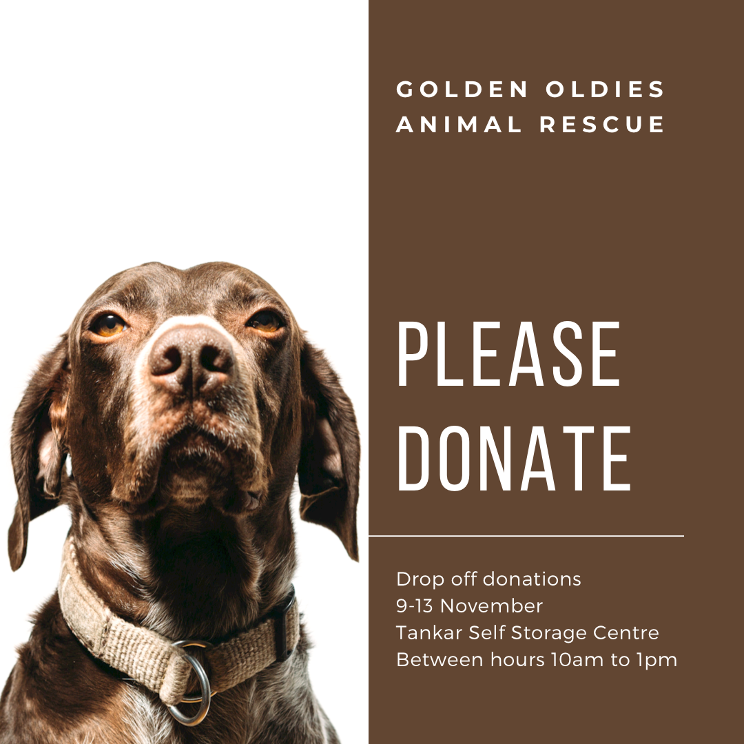 Donate To Share The Love For Golden Oldies Animal Rescue