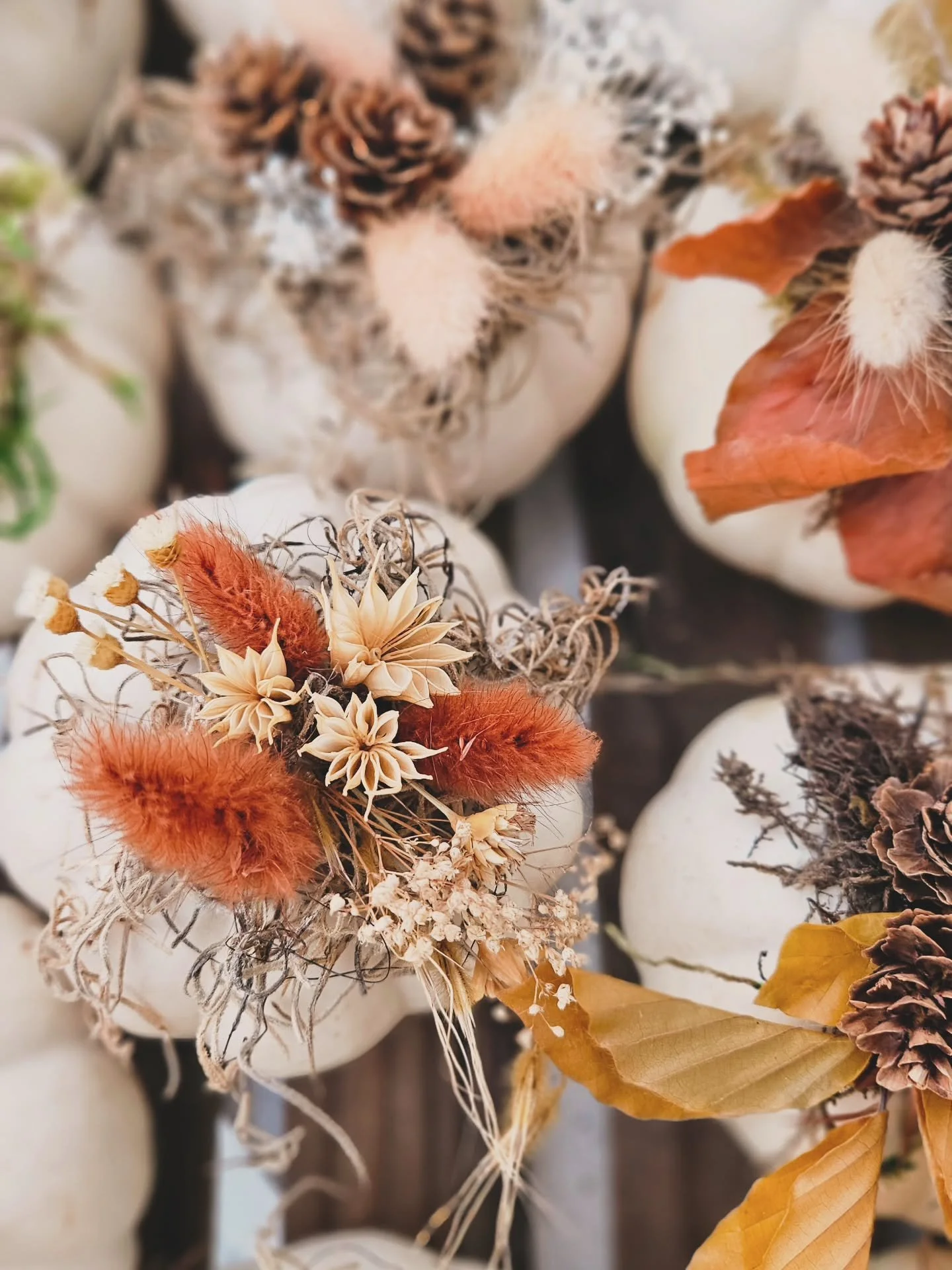 🍂 For all the autumn girlies &mdash; we&rsquo;ve got goodies for you! ✨ Our everlasting fall bouquets and mini dried pumpkin arrangements are giving cozy, golden-hour vibes that last all season long. Perfect for gifting, decorating, or treating your