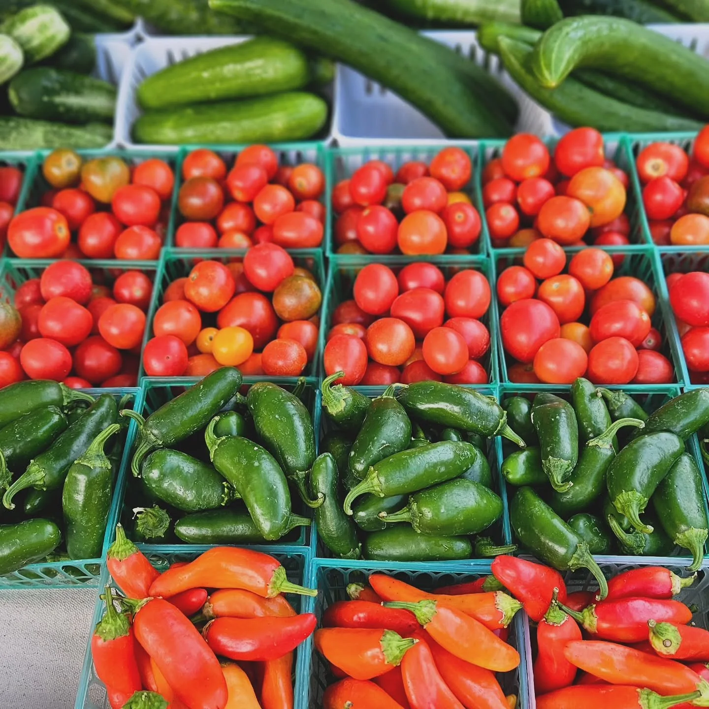 While our flower season winds down, the veggies are still thriving! 🥕🌿 We&rsquo;ll have an abundance this Saturday at the @newbraunfelsfarmersmarket &mdash; come stock up and savor the fall harvest!

#newbraunfelsfarmersmarket #supportlocal #farmfr