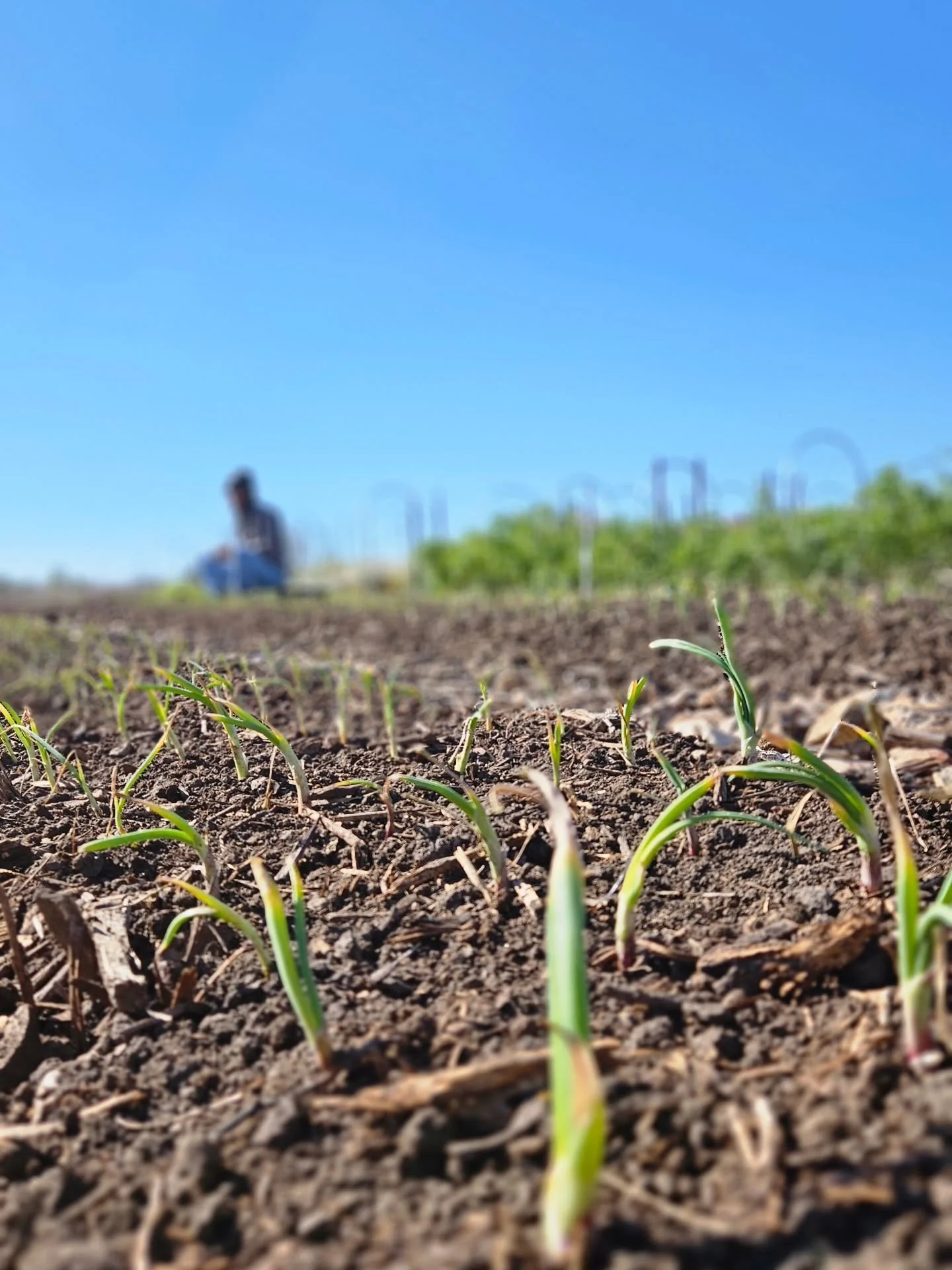 Back from vacation and easing into the quiet rhythm of winter on the farm 🌿
Time to pick back up on all our winter projects&mdash;planning, tending, repairing, and dreaming ahead for the season to come. The slower days are just as important around h