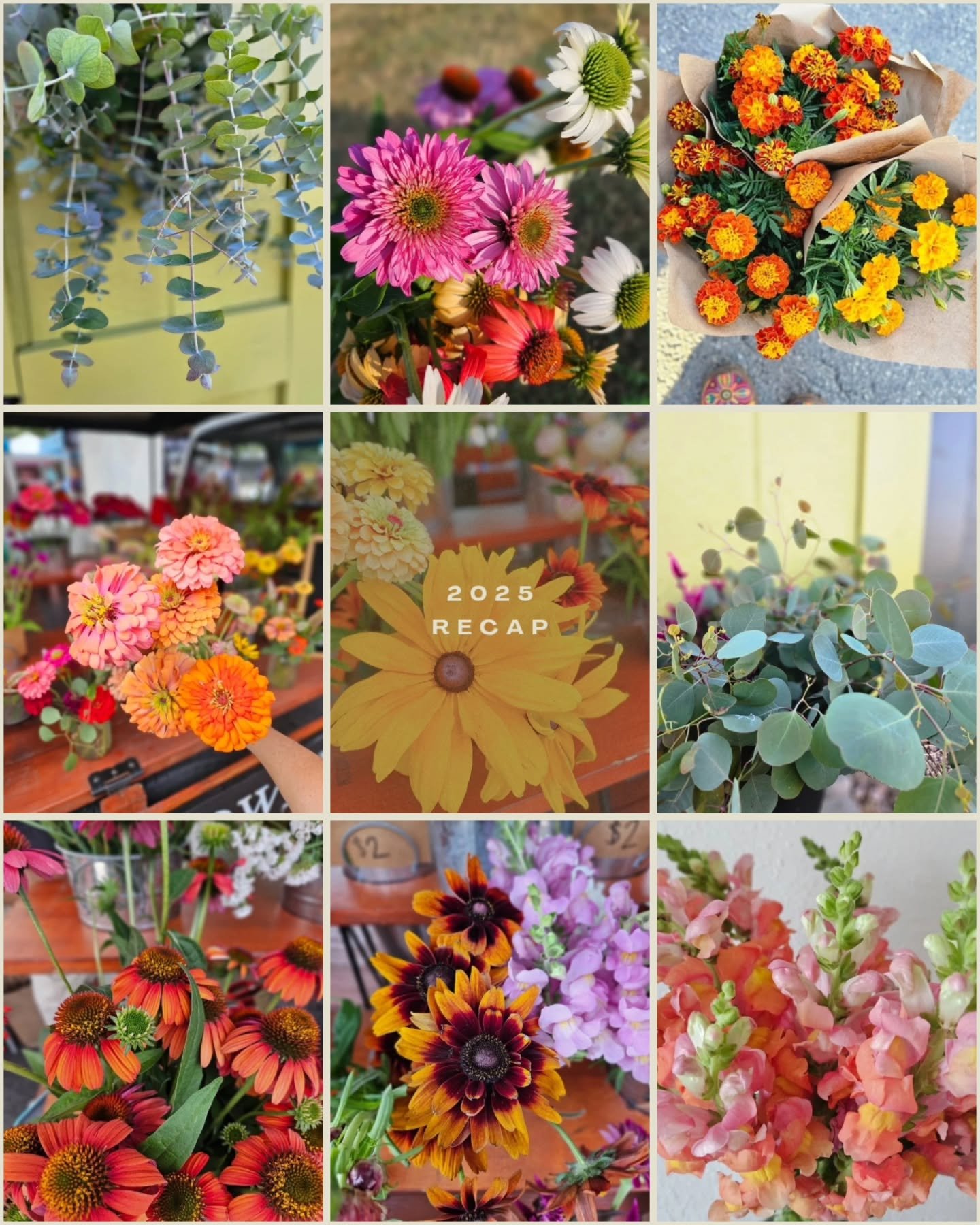 2025, the farm edition 🌱

This year held both wins and losses&mdash;because that&rsquo;s farming. Some things thrived, some things taught us hard lessons, and all of it reminded us why we keep showing up.

We built, we tried new varieties, we adjust