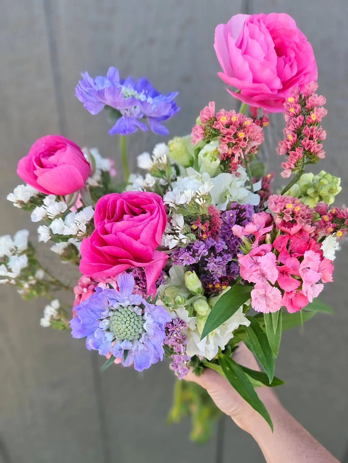 The first mixed bouquet of the year has arrived ✨

Some of these blooms have been tucked into the soil since October&mdash;weathering the cold, putting down roots, and patiently waiting for their moment. And now, they&rsquo;re finally ready to bright