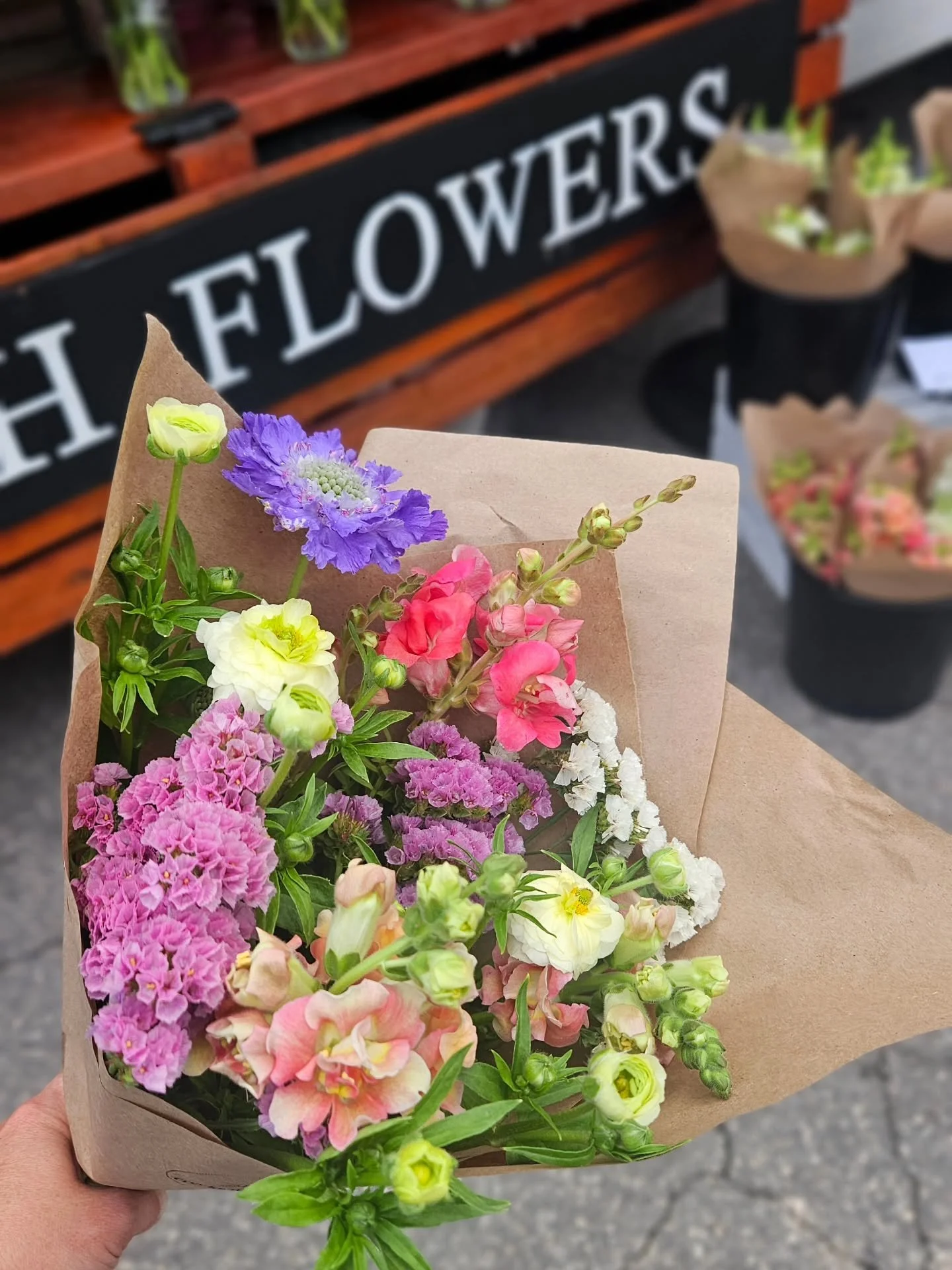 Happy Saturday 🌿 Last night&rsquo;s rain was just what we needed&mdash;nothing like a half inch to wake the fields up and send everything into a lush, wild burst of growth. Come celebrate the season with us @newbraunfelsfarmersmarket today 9-1pm.

#