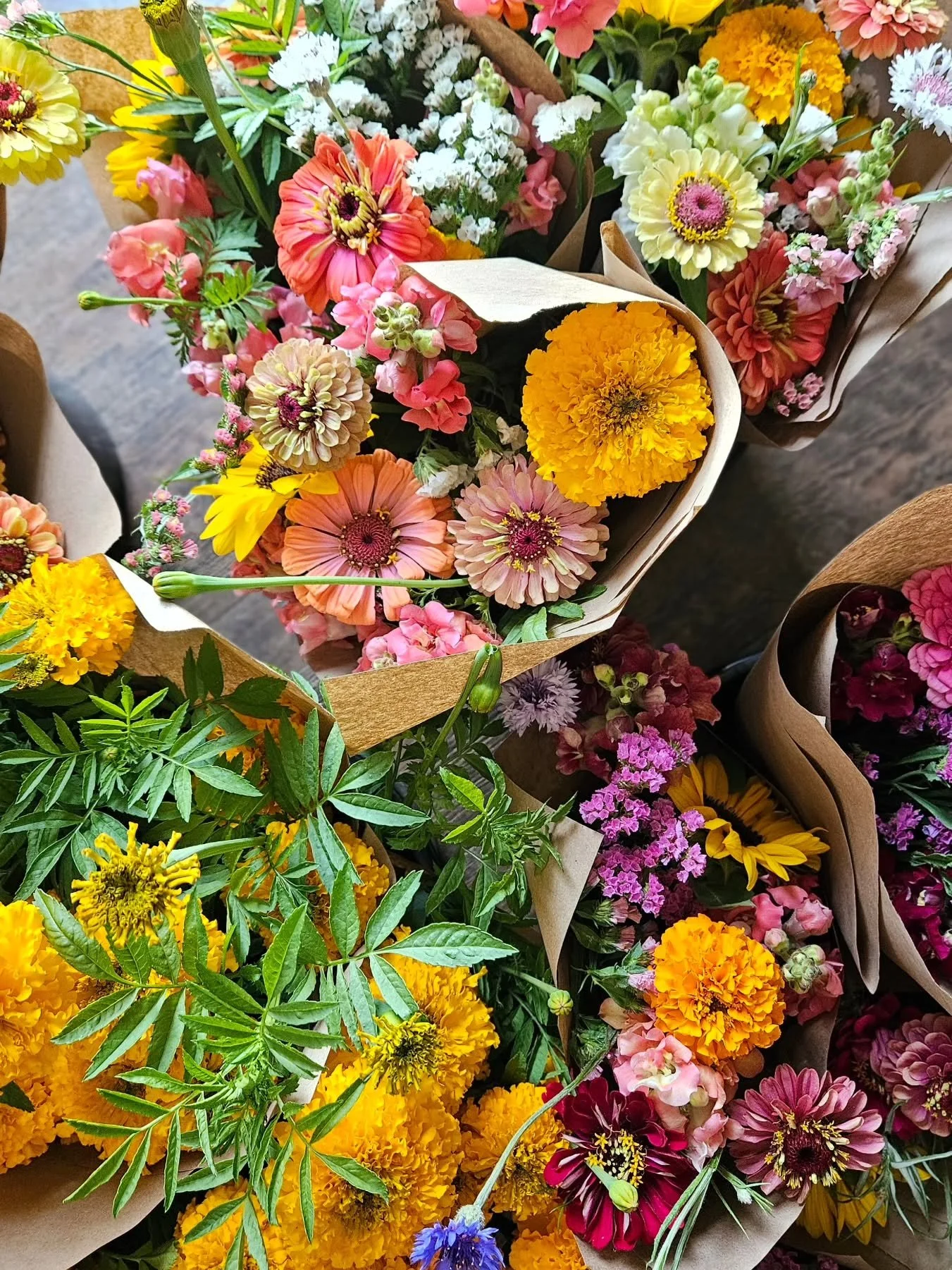 📢 SAN MARCOS Flower Stand coming soon!

The fields are loving all this rain 🌧️ which means we&rsquo;re swimming in blooms over here! 🌸✨

We&rsquo;re looking for more ways to get fresh flowers into your hands and would love your feedback. One idea 