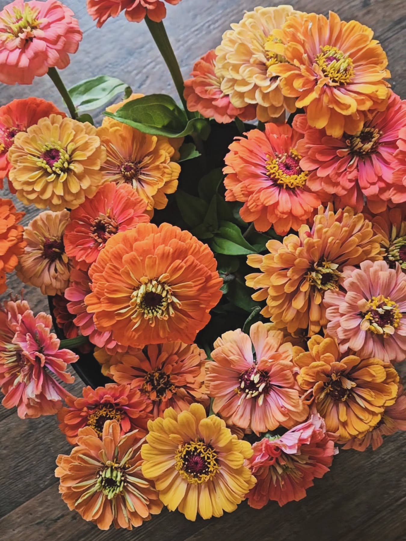 📢Special announcement 🌸

You asked for more ways to get flowers into your hands, so we&rsquo;re bringing the blooms to San Marcos on Wednesdays!

Join us for our weekly flower pop-up featuring fresh-cut seasonal bouquets straight from our flower fi