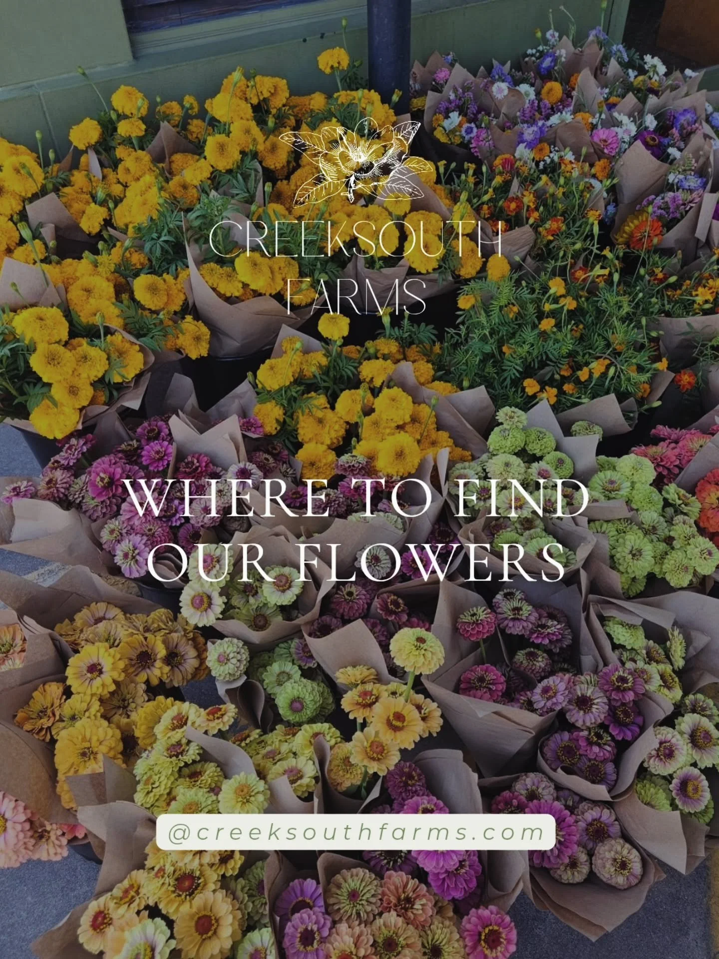 Wondering where to find our flowers? 🌸

Shop with us every Saturday at the New Braunfels Farmers Market, order online for farm pickup, or catch our Wednesday flower pop-up in San Marcos.

Fresh, seasonal flowers grown right here on our Texas farm an