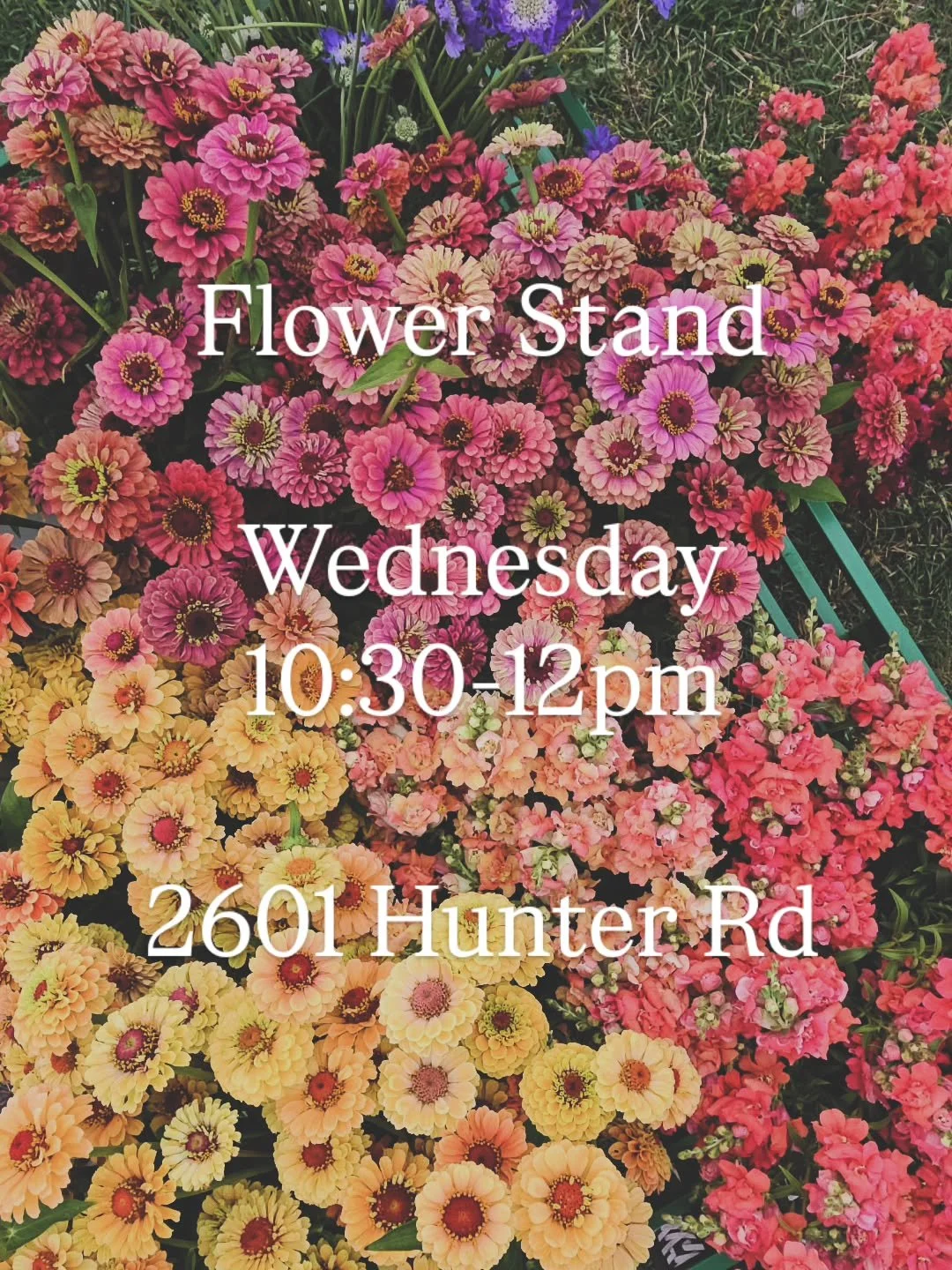 Hey San Marcos friends! 🌻

Just a reminder&mdash;we're popping up tomorrow from 10:30 AM&ndash;12 PM next door to San Marcos BBQ! We'll have fresh-cut flowers and a selection of farm-grown vegetables available while supplies last.

Grab some lunch, 