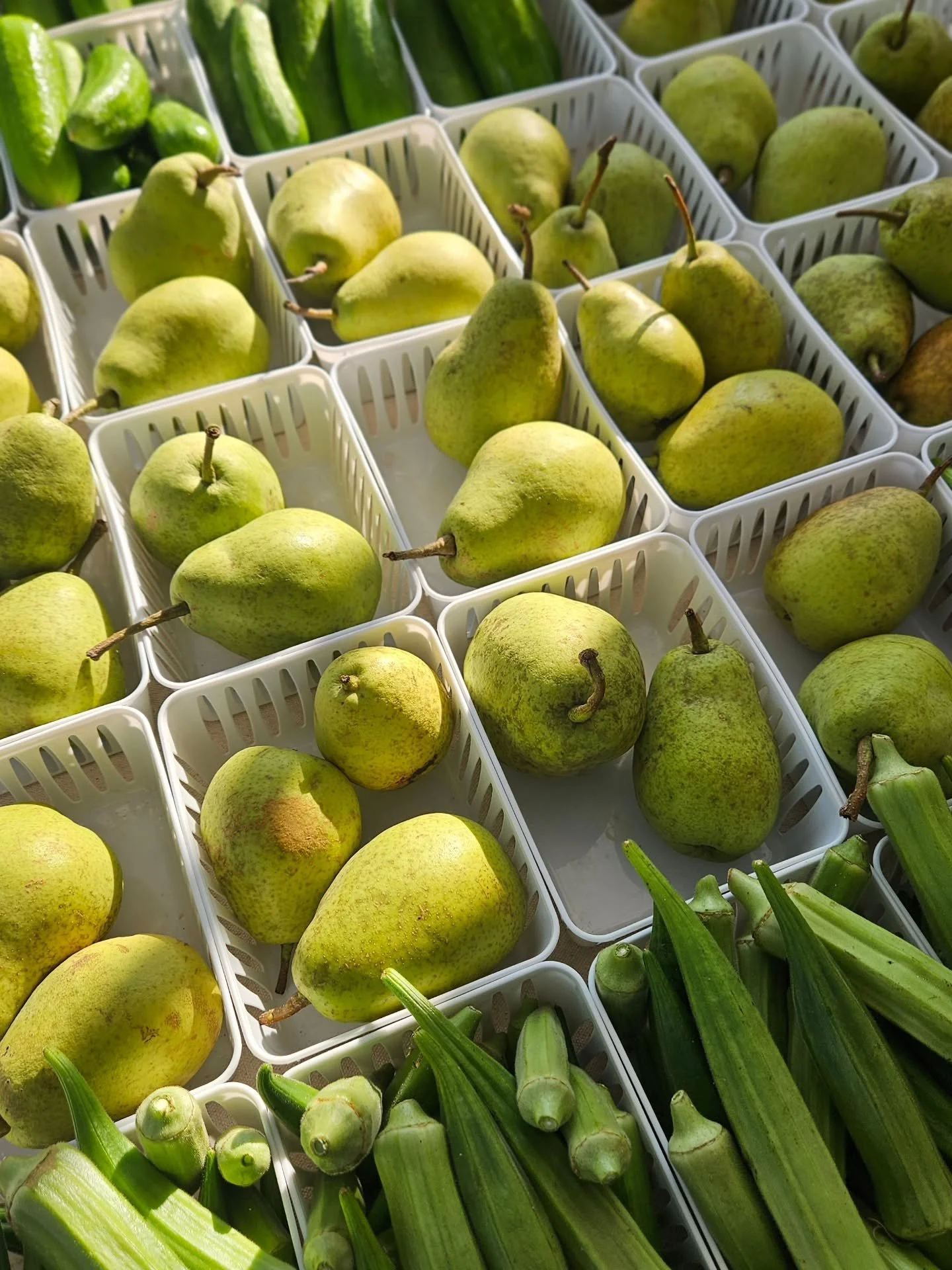 Happy Saturday! 🍐 Come stock up on the best-tasting pears in Central Texas!

We have one very happy pear tree that decided to go all in this year, putting on more fruit than ever before. And we&rsquo;re certainly not complaining. 😋

Sweet, juicy, a