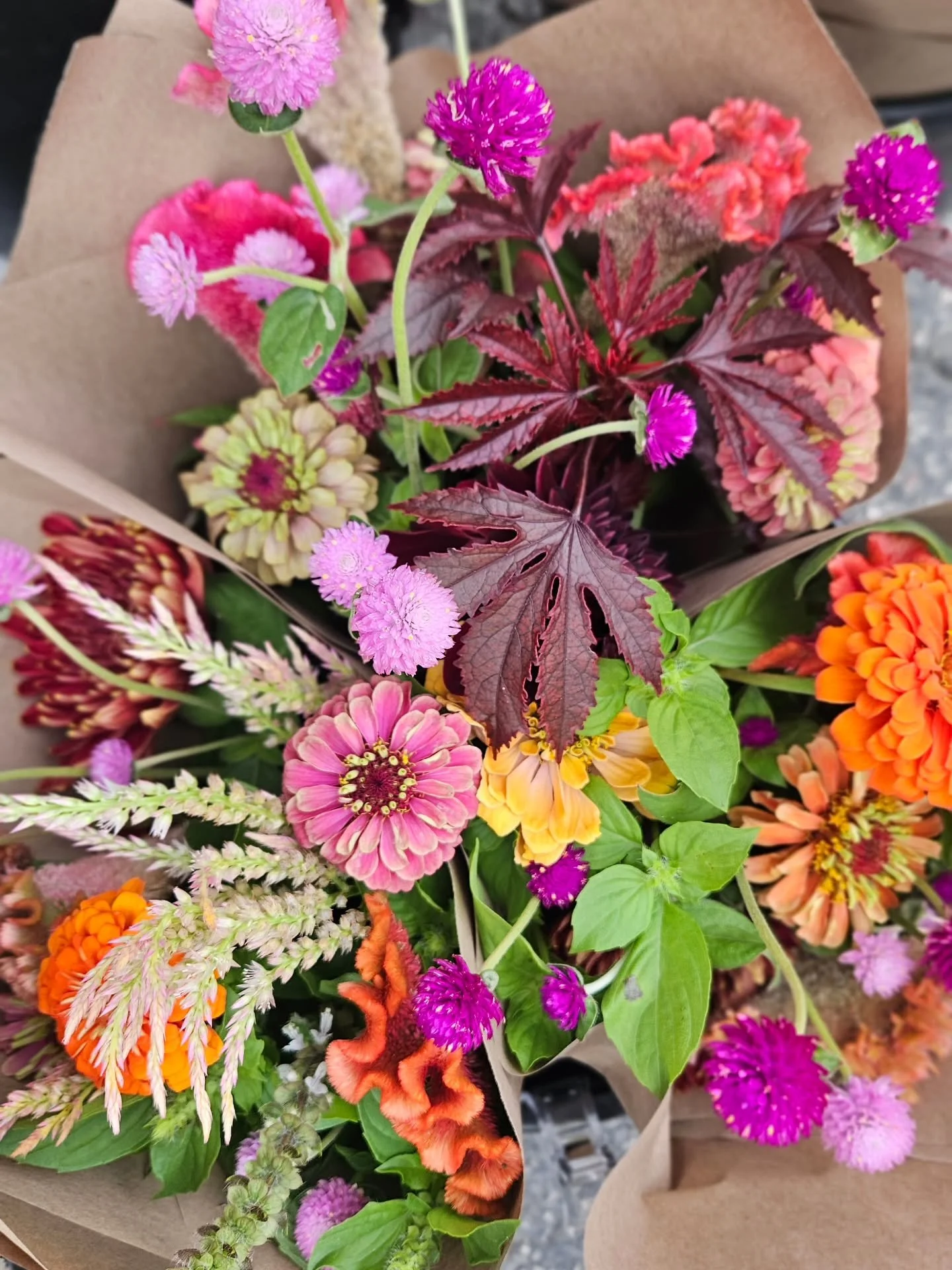 We're back @newbraunfelsfarmersmarket !

Starting to feel like Fall around here. Veggies are very limited, but we have lots of flowers! Come early to get the best picks!

#creeksouthfarms #freshflowers #flowerfarm #flowers #locallygrown