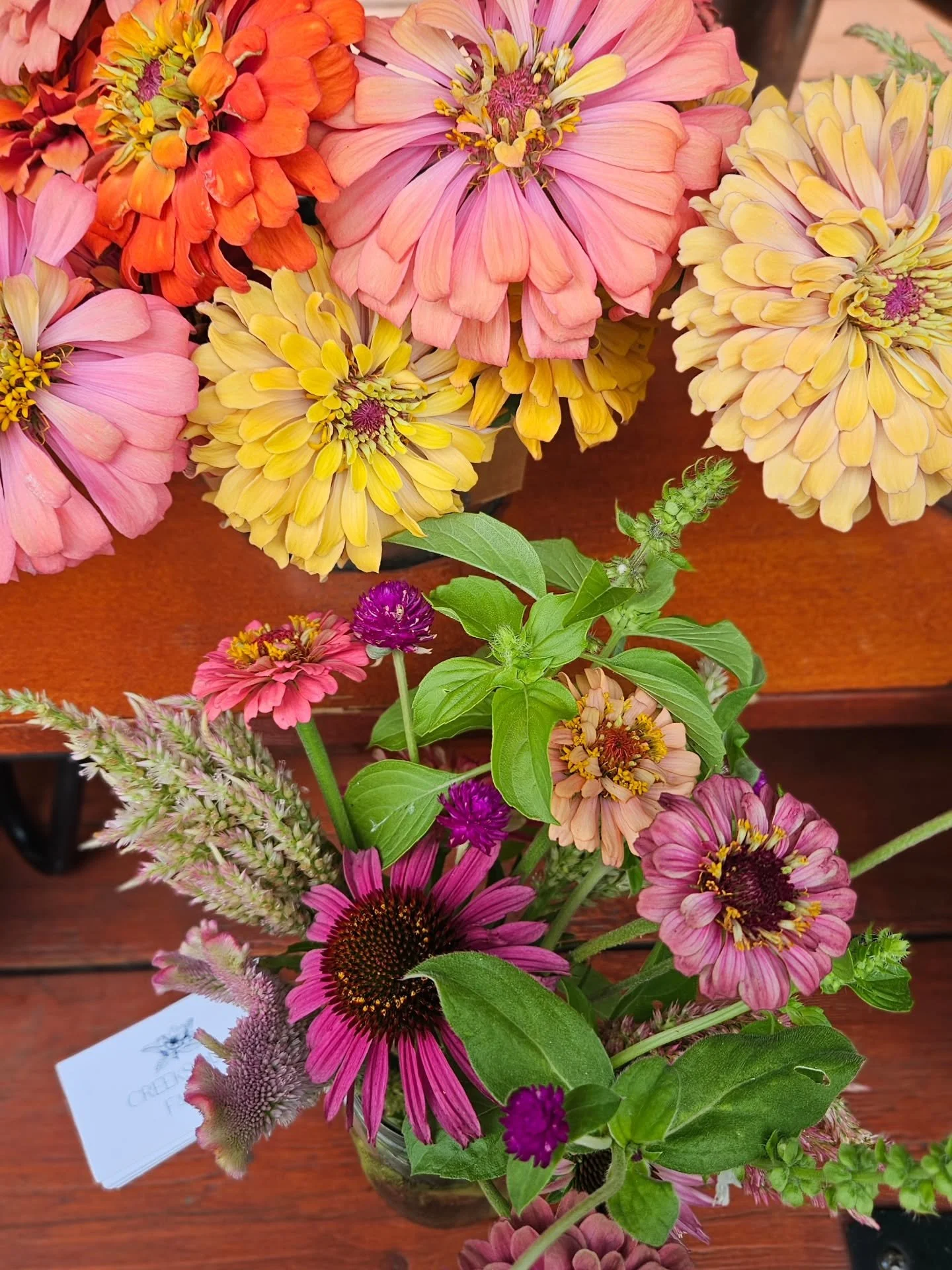 Zinnia season is HERE 🌸🌼🌿

We&rsquo;re bringing all the colorful, locally grown goodness to the @newbraunfelsfarmersmarket today! Come grab yourself a bunch (or two)!

📍 New Braunfels Farmers Market
🕘 9 AM&ndash;1 PM
🌼 Come get you some! 🤠

#c