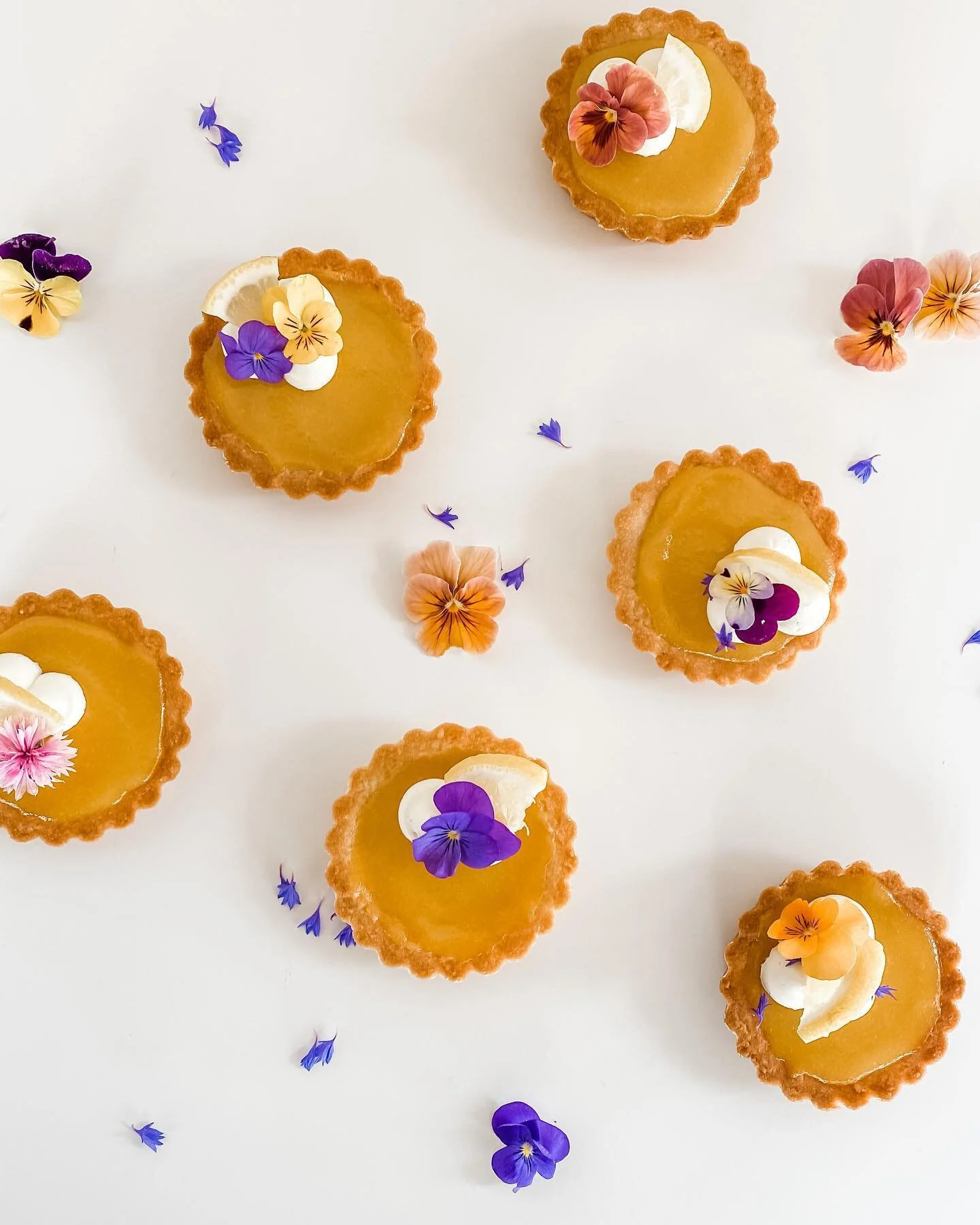 It&rsquo;s citrus season here in the North Fork Valley, and you know what that means&hellip;. Lemon Tarts made with fresh Arizona Citrus are back in the case at Farm Runners! We&rsquo;ve also added these fan favorites {in bite-size form, pictured abo