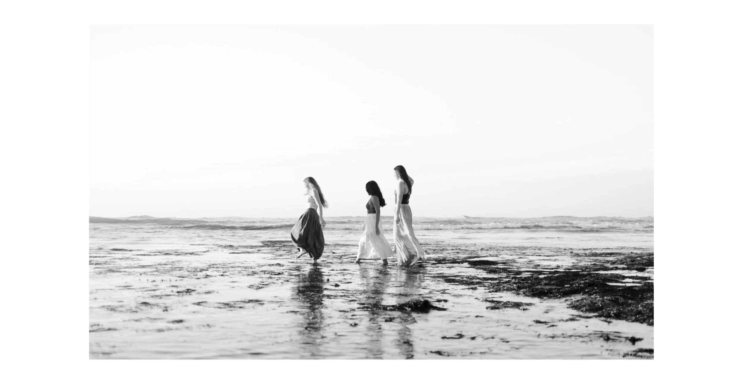 Anessa Chirgwin / Nothing Gold Can Stay / Photography
