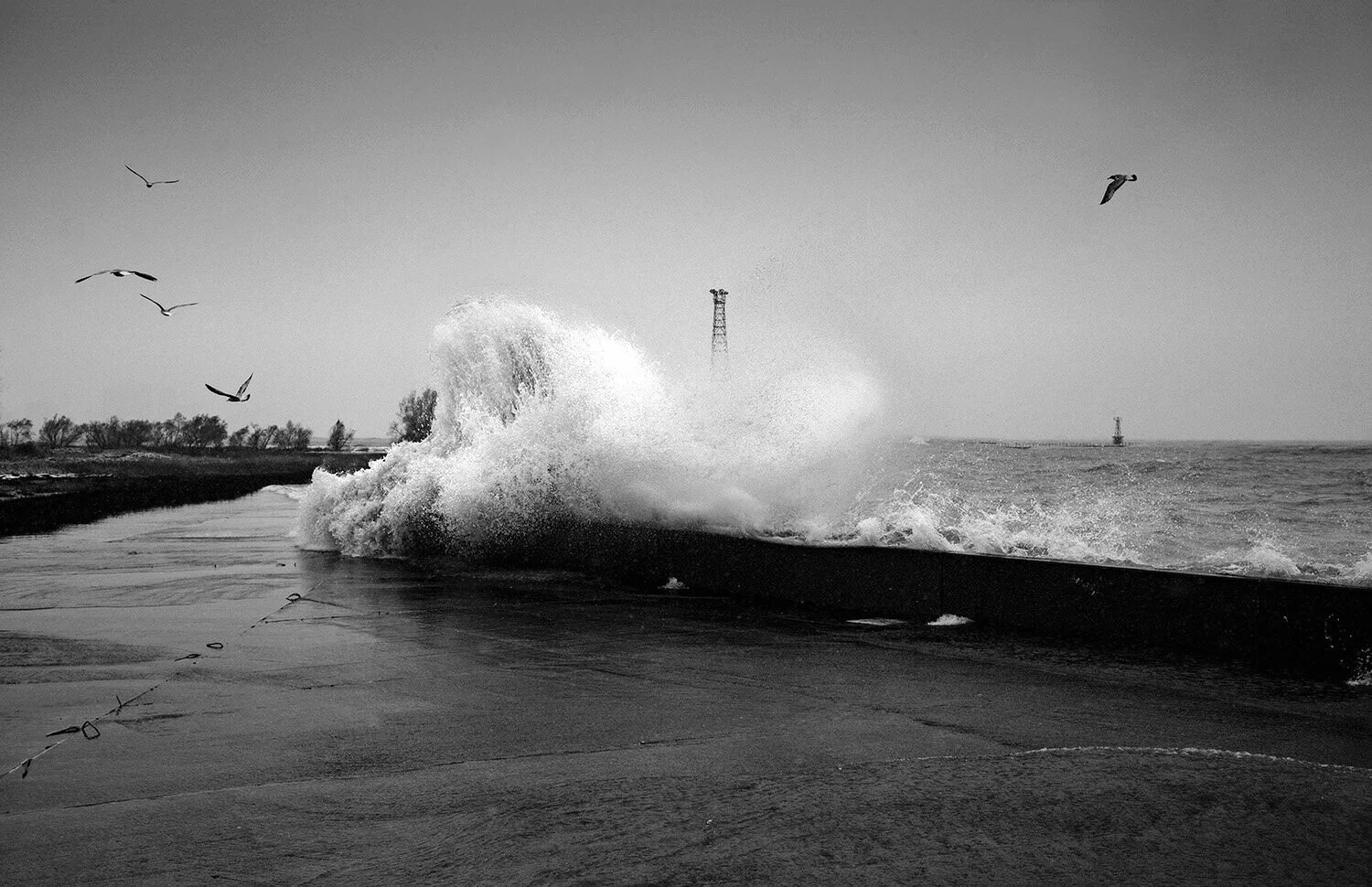 Great Wave 01