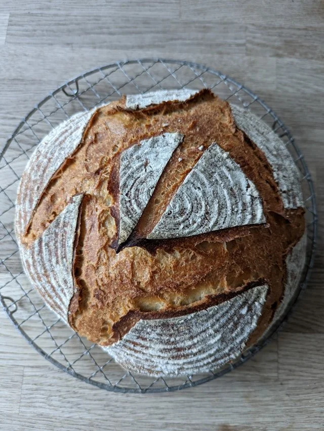 Beginner’s Sourdough Workshop - 4 hours 3/24/25