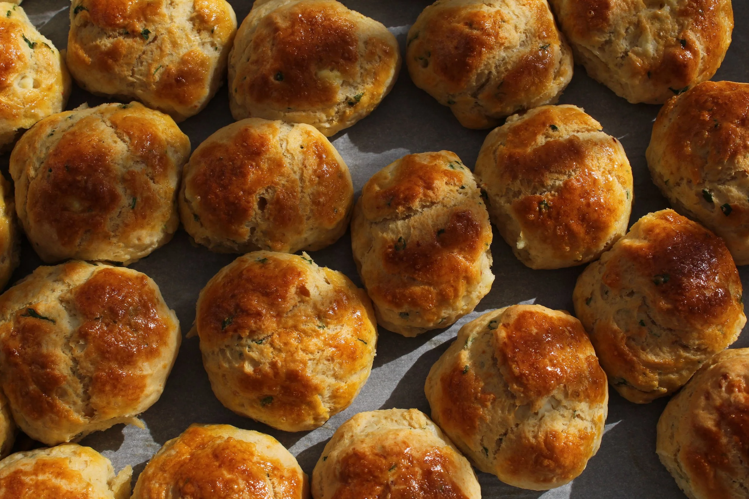 Oct_17_ Biscuit2.jpg