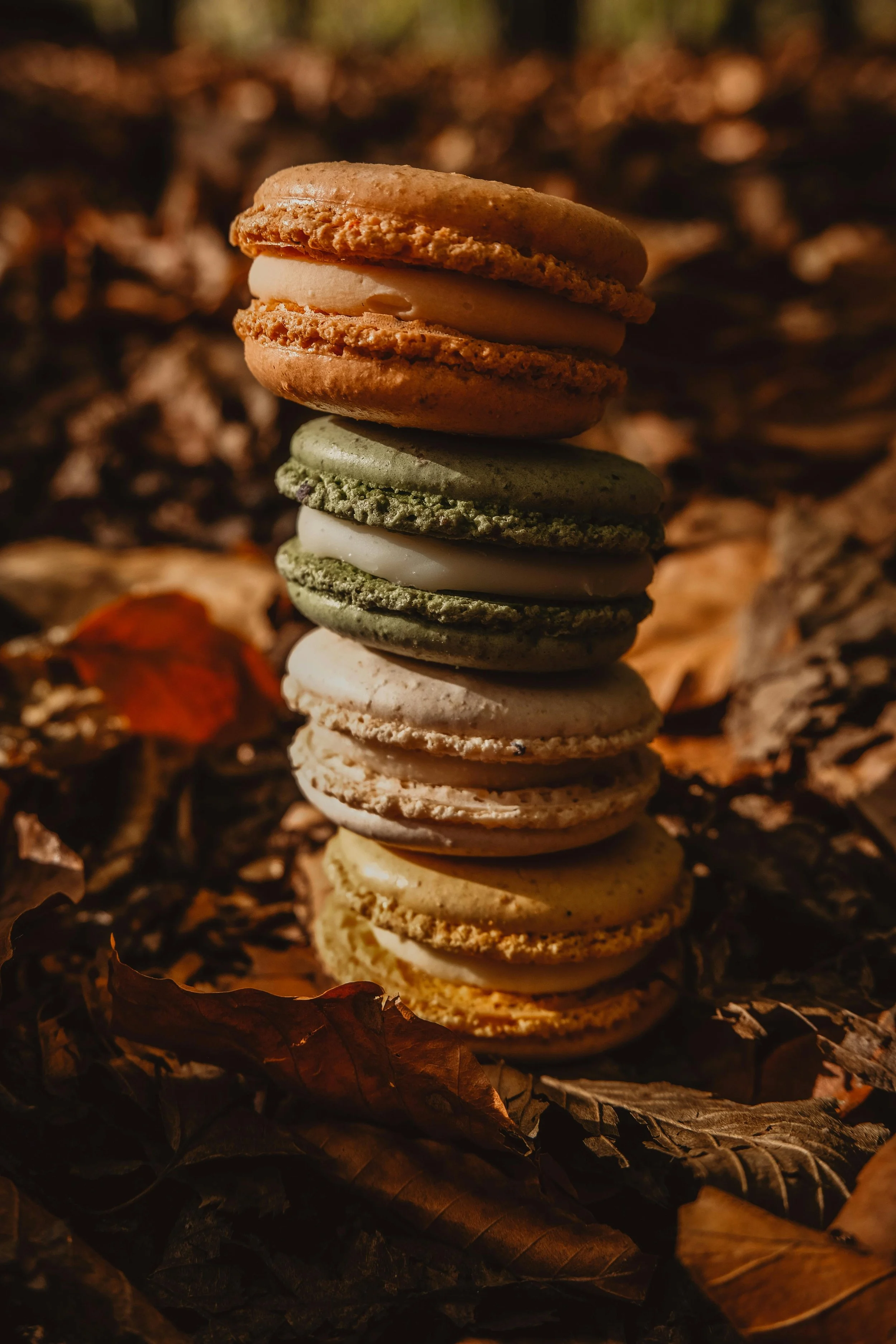 Oct_6_Macarons.jpg