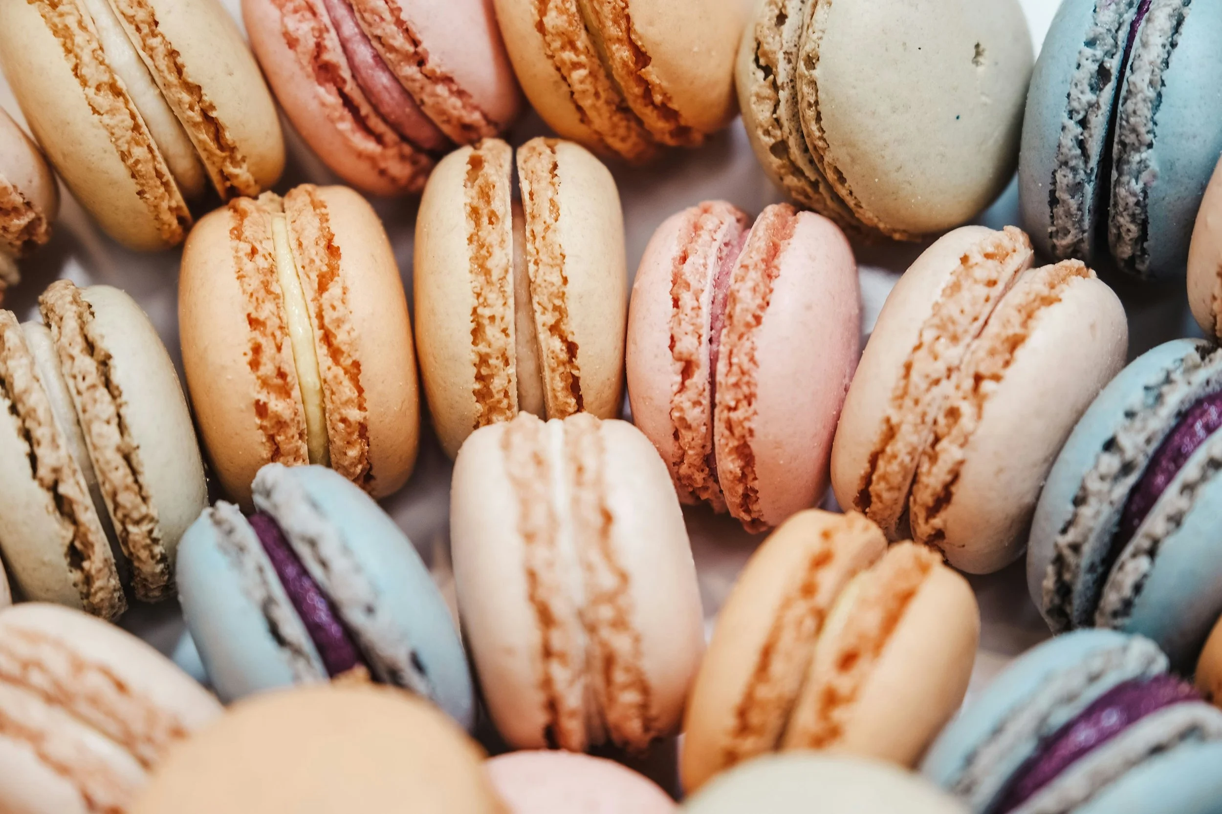 Fabulous French Macarons - Fall Edition - 10/05/26