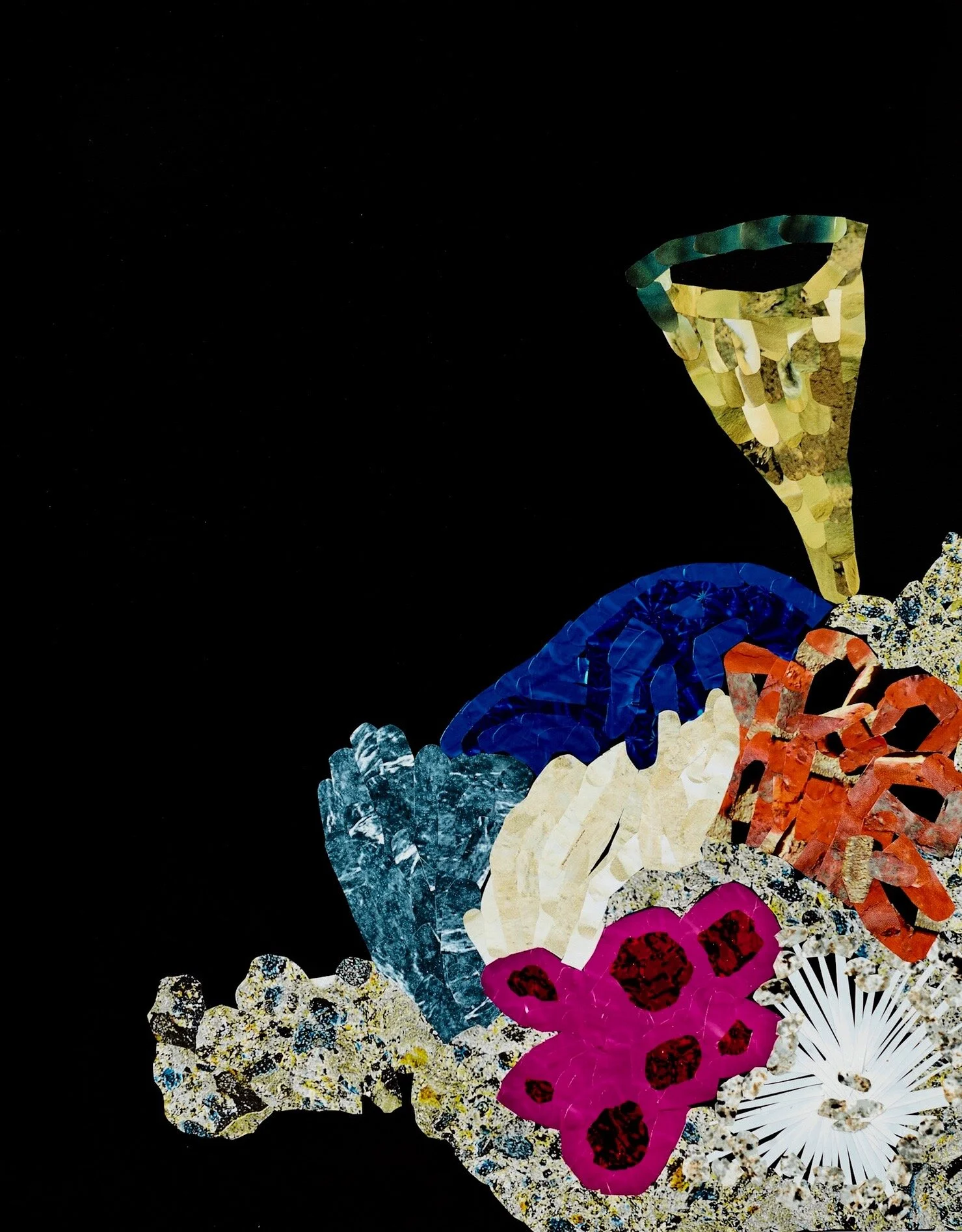 Precipice DARK REEF 2.jpg