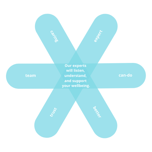 Sommerville Surgery vision and values. Established February 2020.