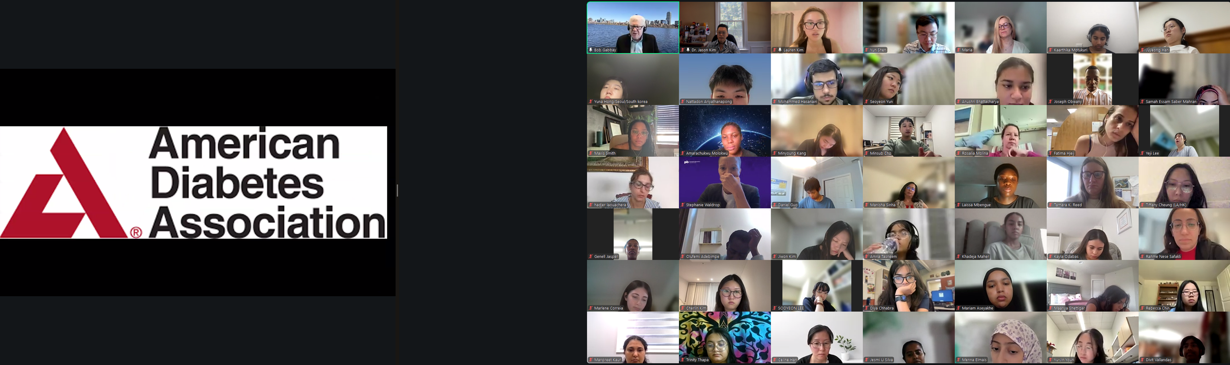 DVSC25-Session 9 Dr. Gabbay Slide 4.png