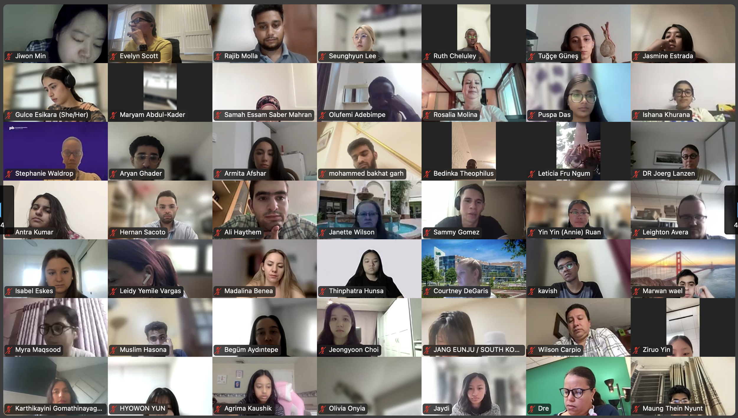 DVSC25-Session 1 Interns 3.png