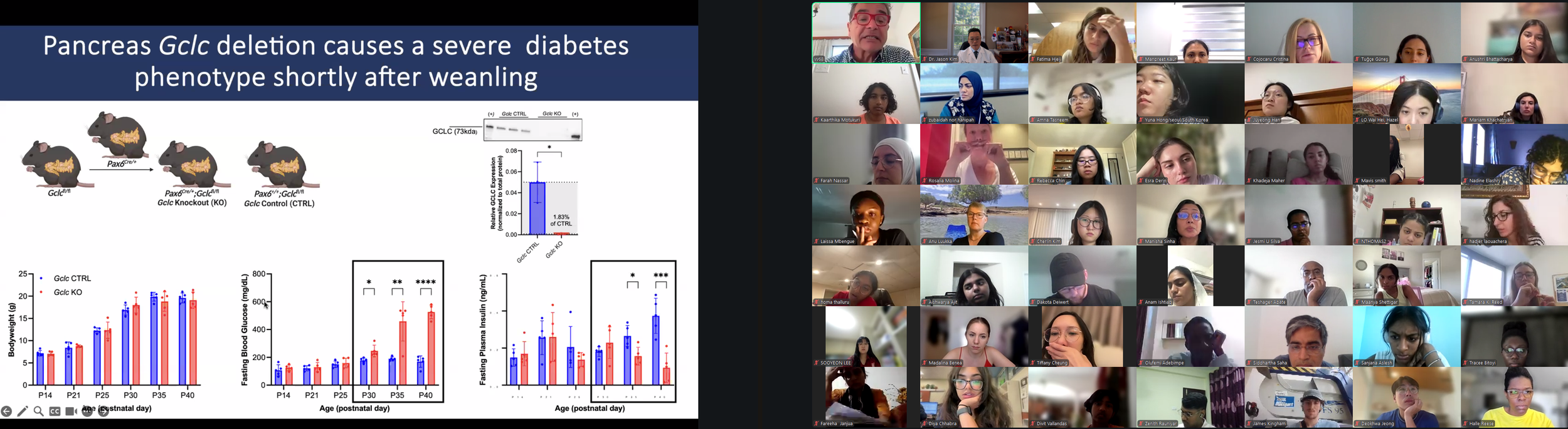 DVSC25-Session 8 Dr. Vasiliou Slide 5.png