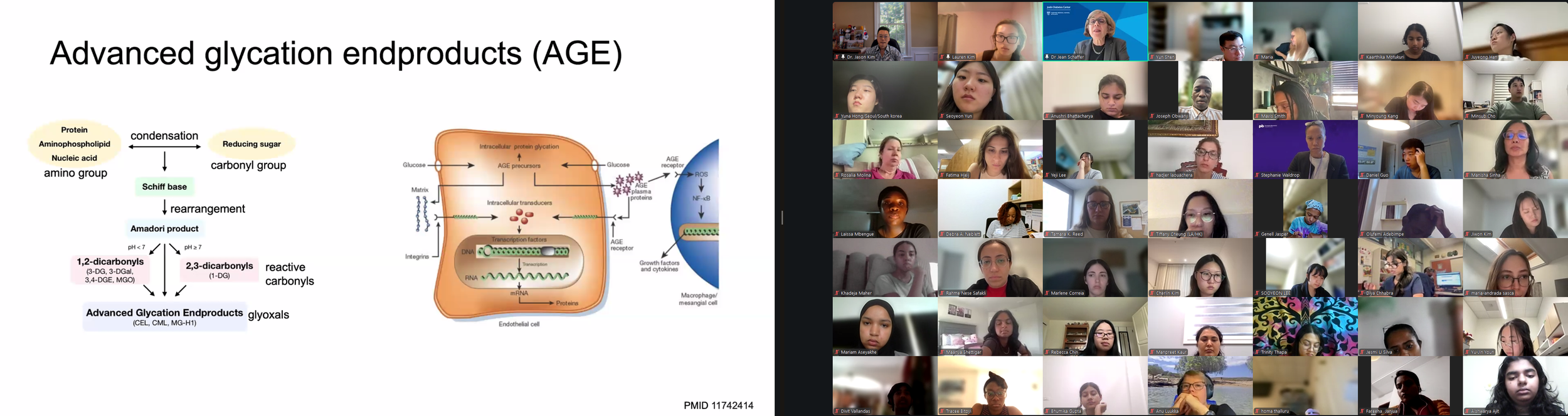 DVSC25-Session 10 Schaffer Slide 5.png