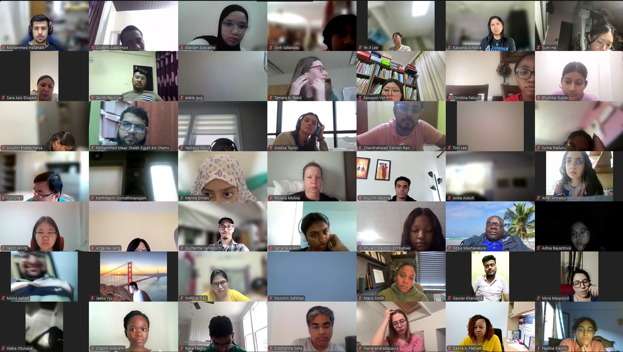 DVSC25-Session 6 Interns 4.png