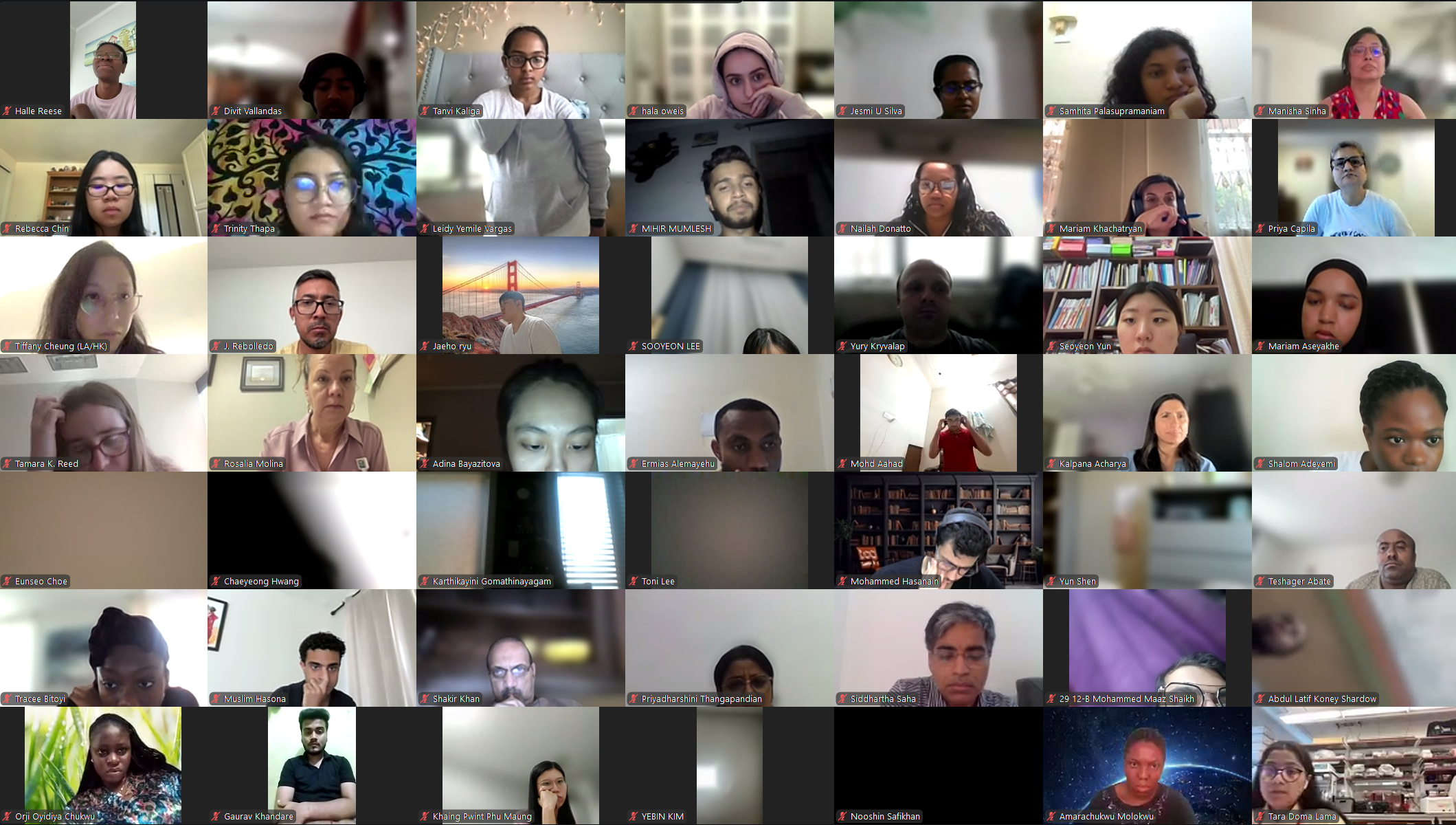 DVSC25-Session 11 Interns 7.png