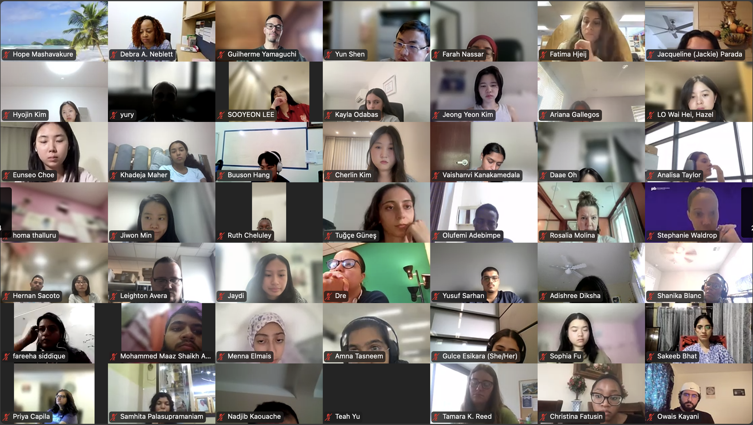 DVSC25-Session 2 Interns 2.png