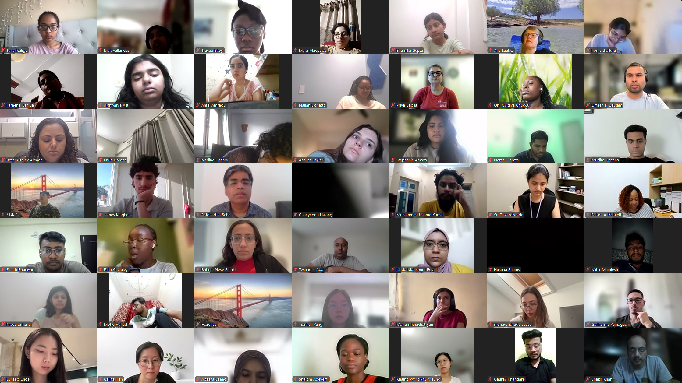 DVSC25-Session 9 Interns 3.png