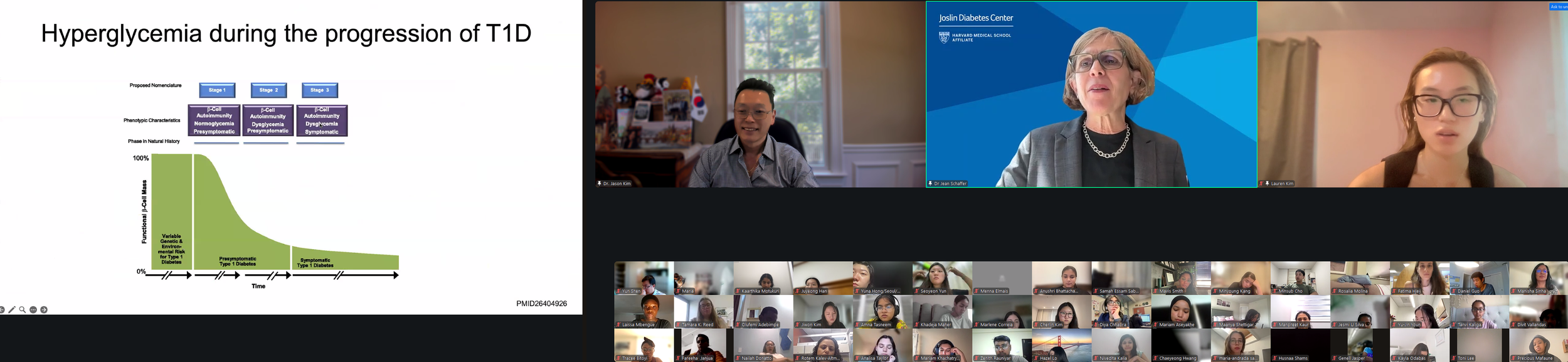 DVSC25-Session 10 Schaffer Slide 1.png