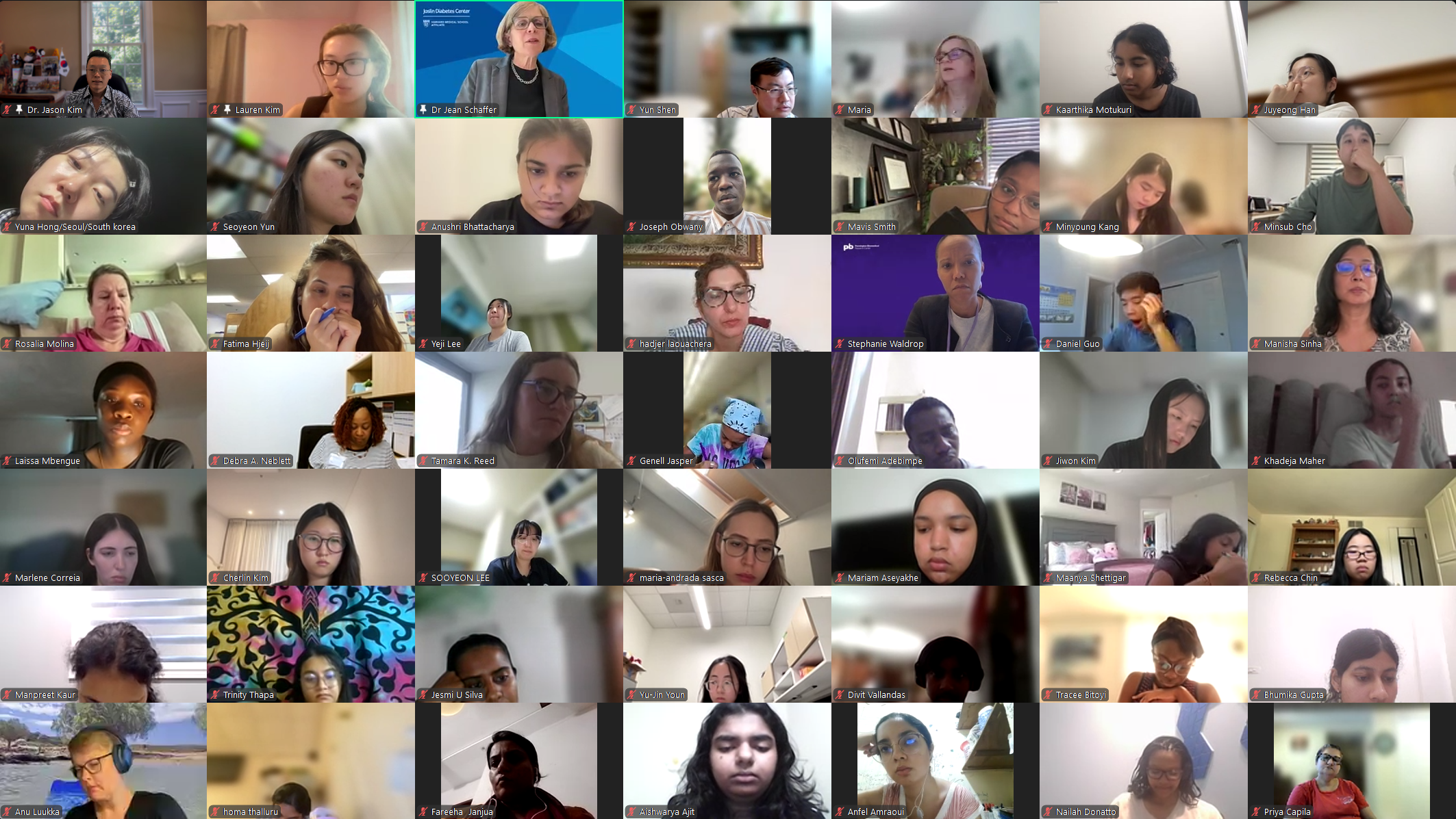 DVSC25-Session 10 Schaffer-Interns 8.png